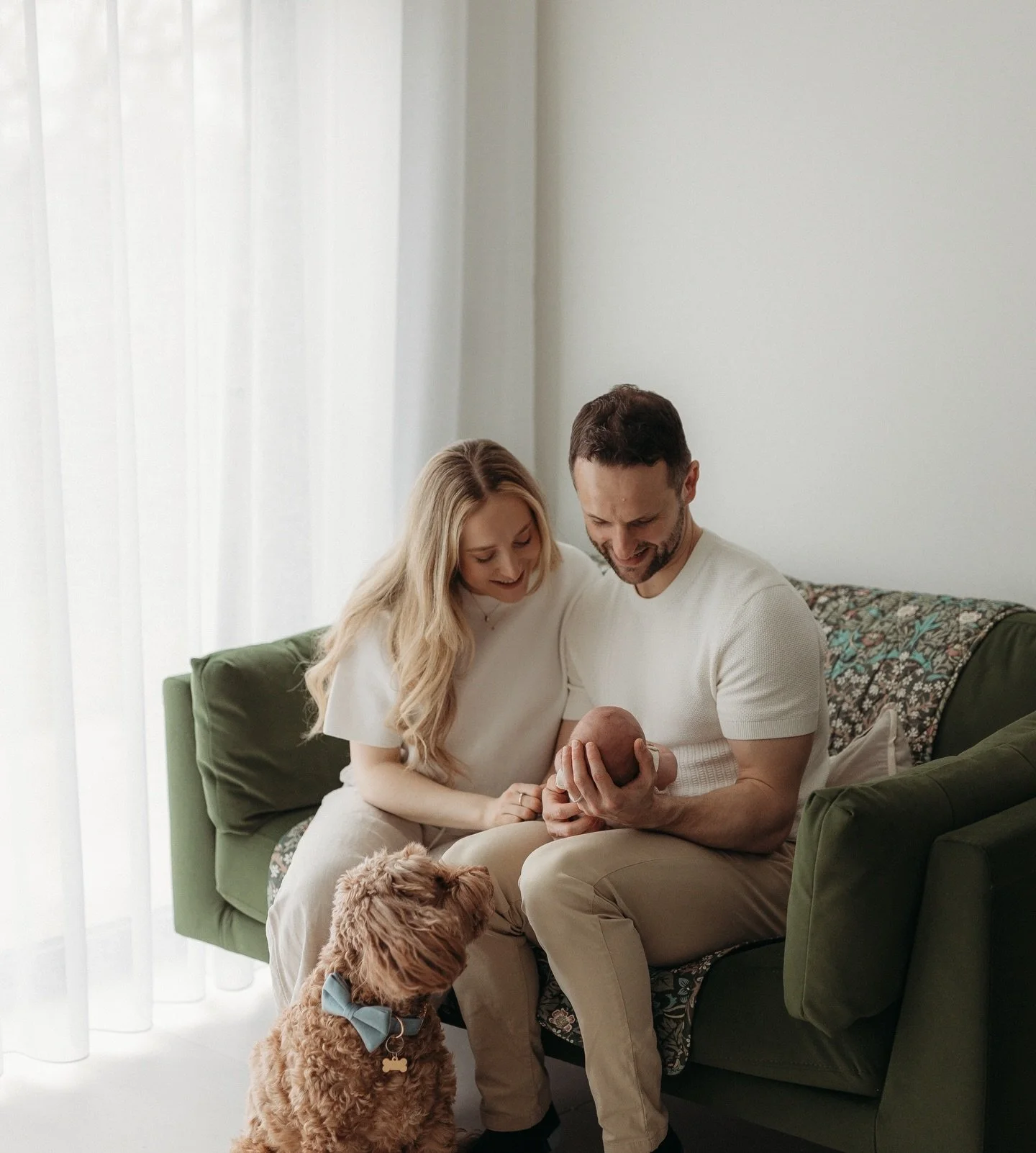 Gorgeous in home session. Doggos ALWAYS welcome ❤️✨