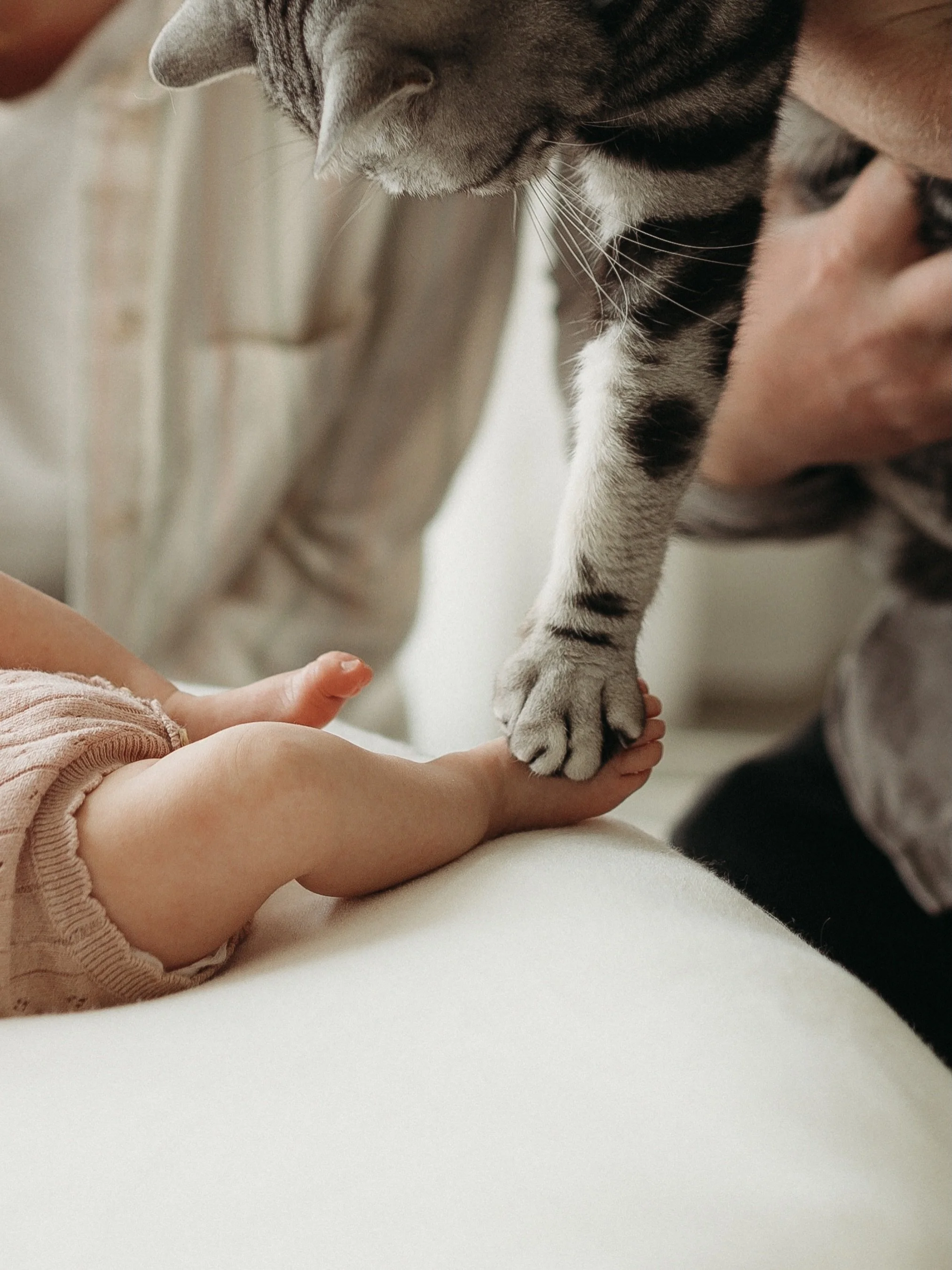 Pets and babies. You have my heart ❤️