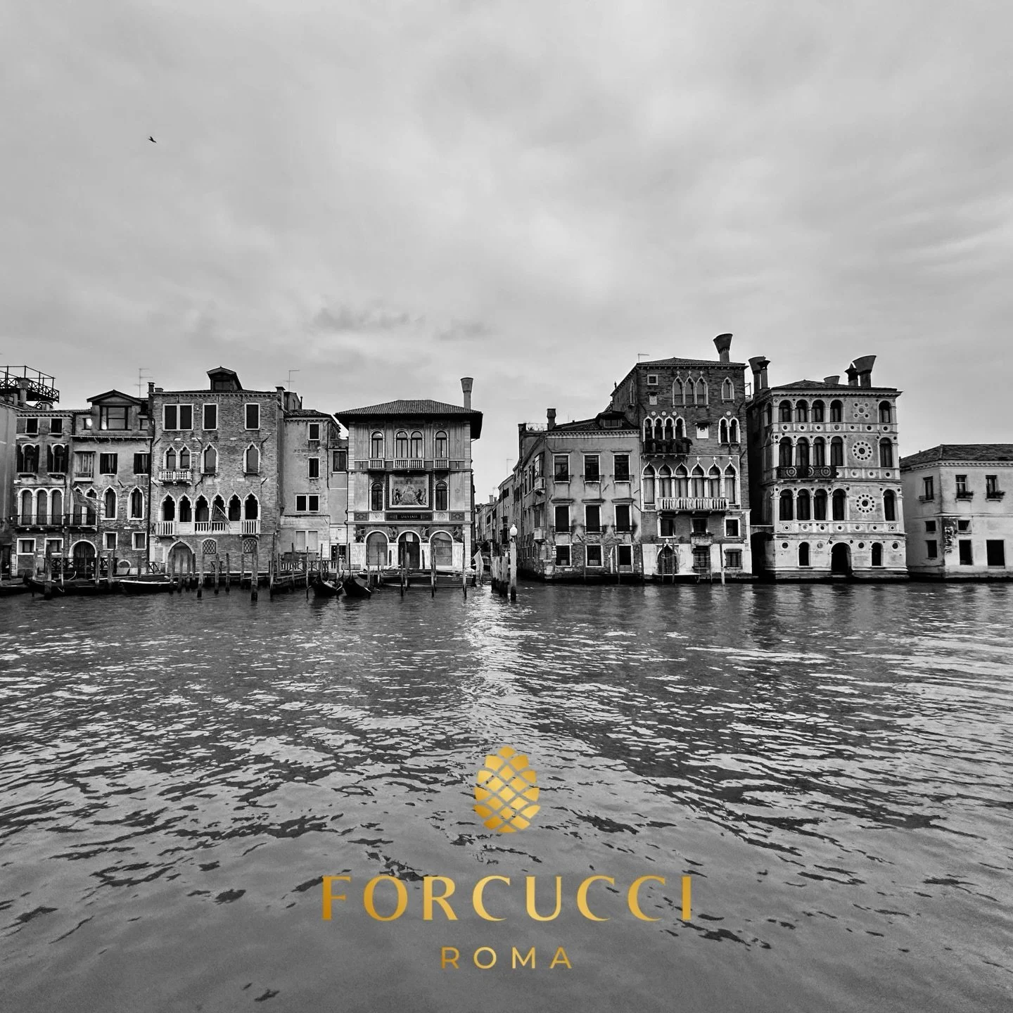 Herm&egrave;s has the Birken. 
We have the Pigna. 
One of these costs more. 
The other one makes people ask more questions. 

#forcucci #grittyluxe #hermes #birken #streetwear