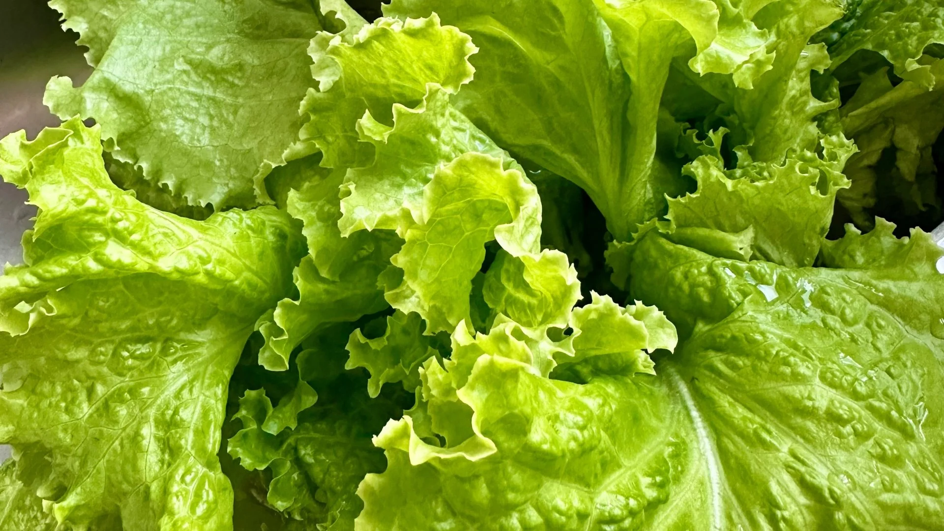 When Your Flexibility Becomes The Shock Absorber