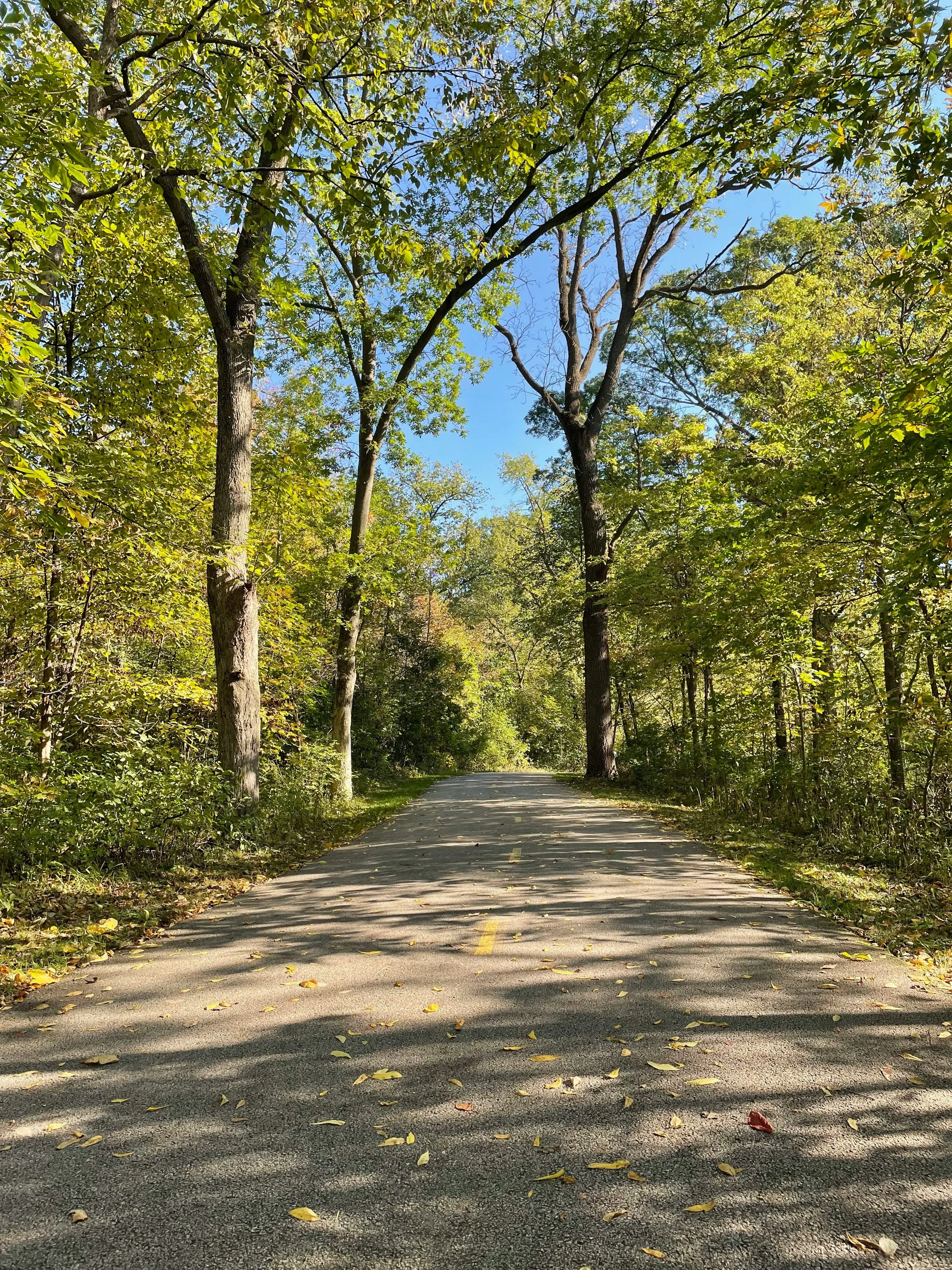 Knoch Knolls Park, Naperville, United States