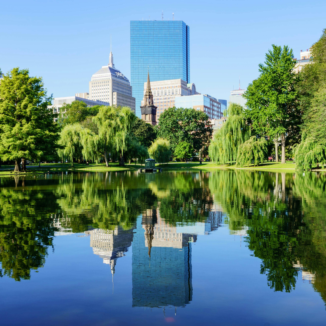 Nearby Boston skyline