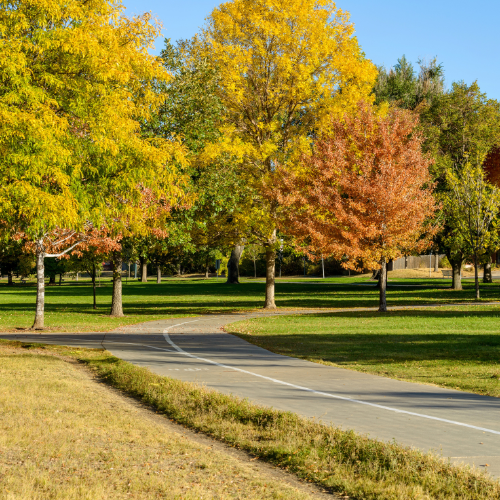 Oak Lawn nature park