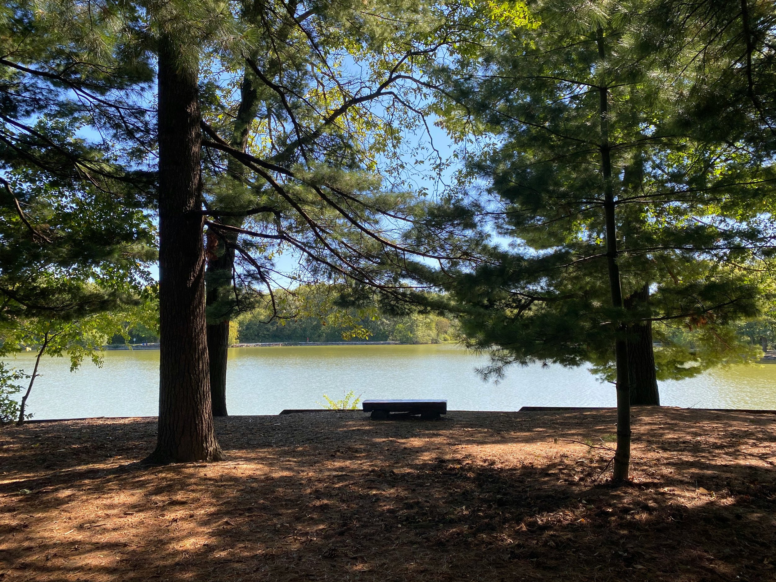 Danada Forest Preserve, Naperville, United States