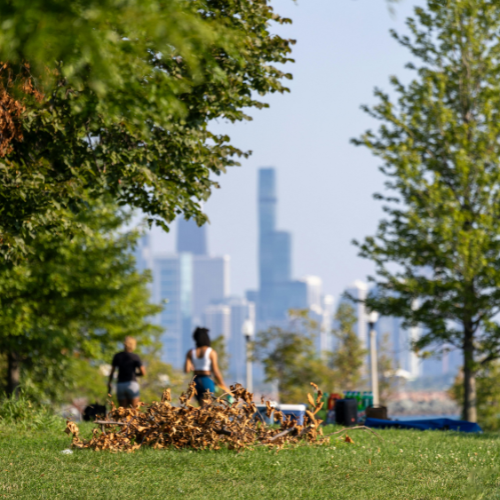Chicago park