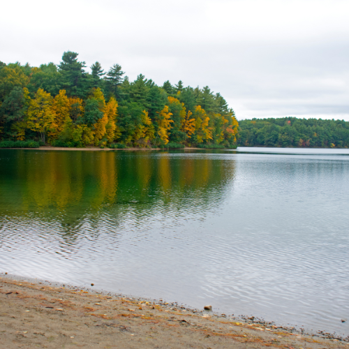 Concord Lake