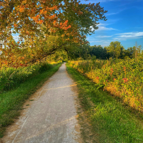 Beautiful park entrance