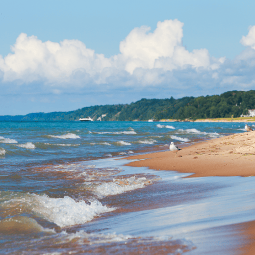 Lake Michigan Beach