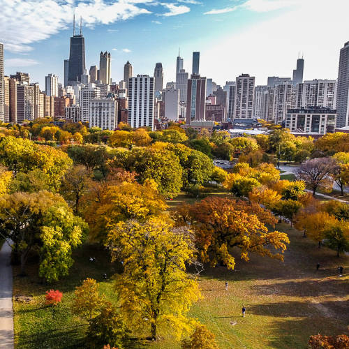Chicago view from park
