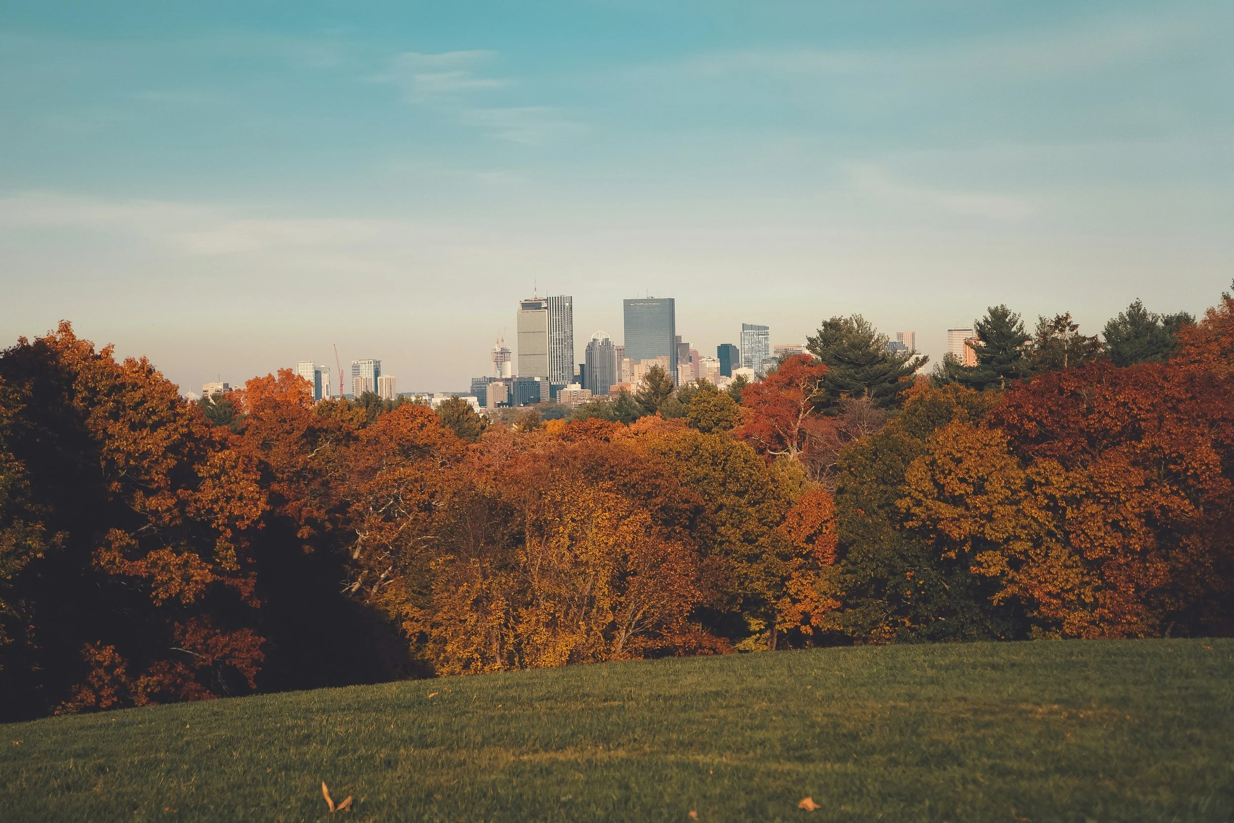 Boston's skyline from Larz Anderson Park, the largest park in Brookline, MA.