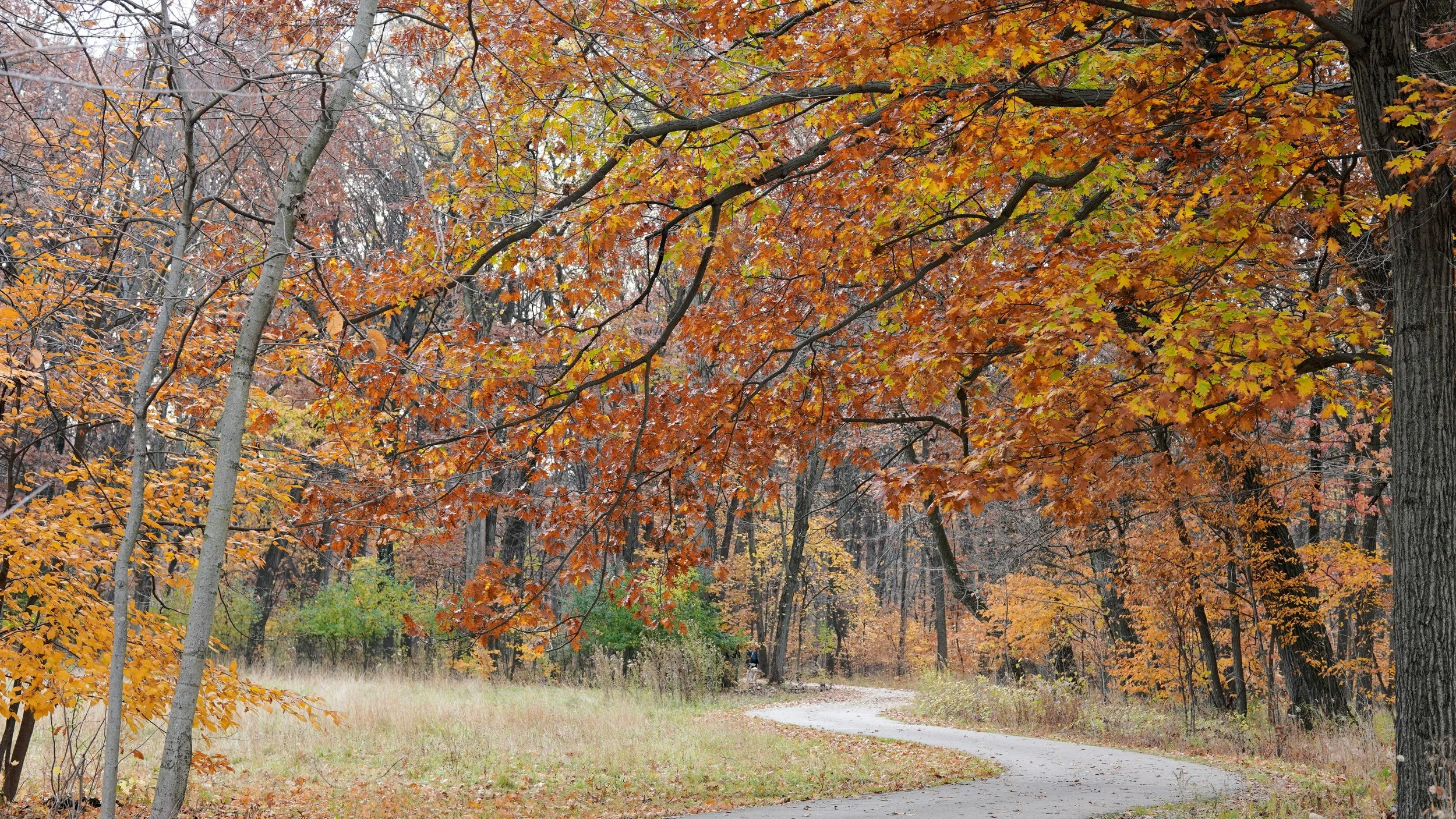 Highland Park illinois