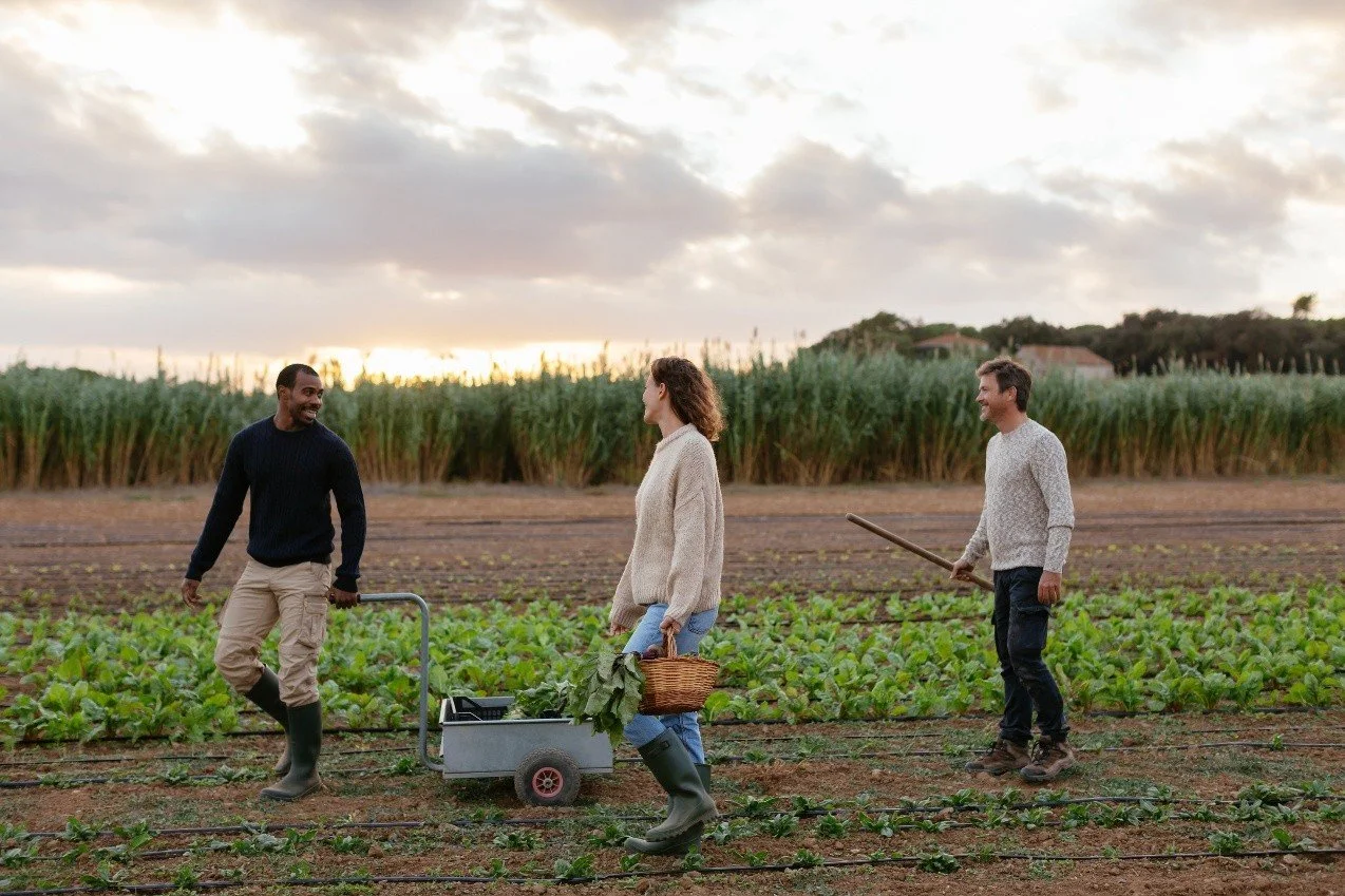 Policy Brief-Community Sponsorship in Rural Territories: Supporting long-term integration in villages and small towns 