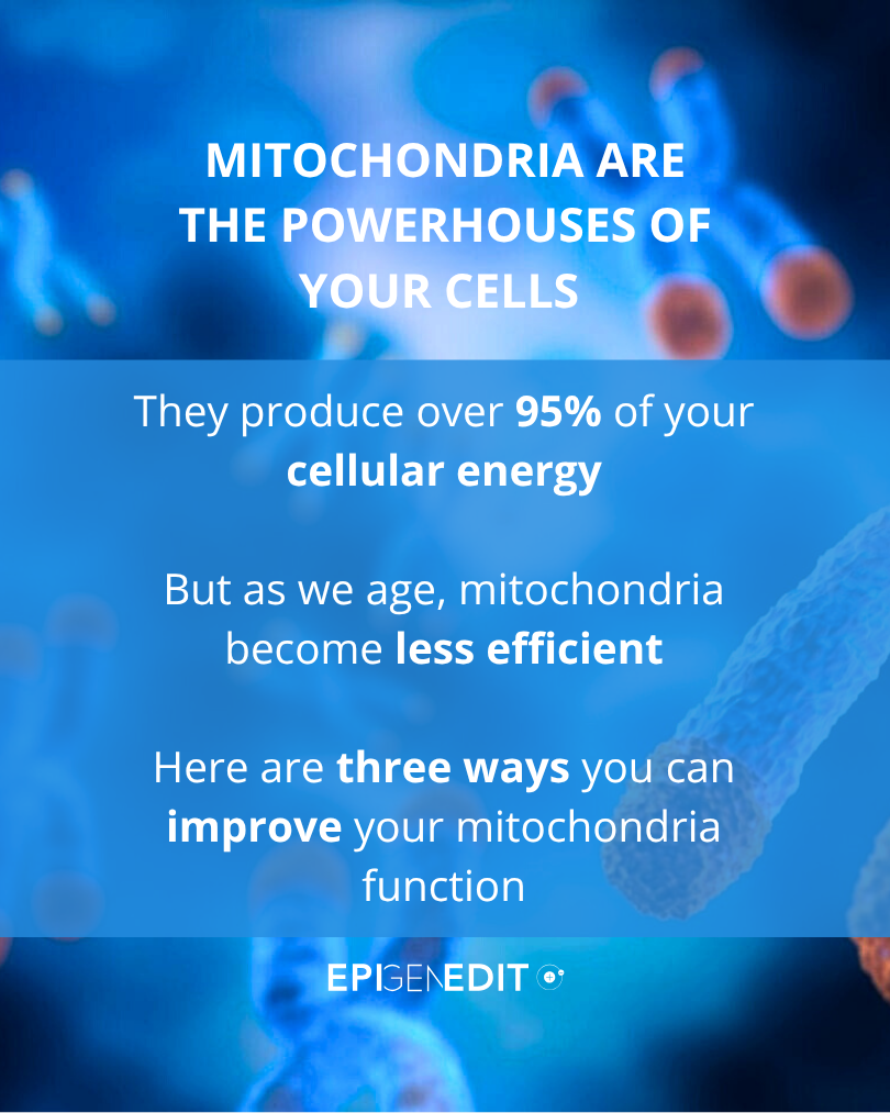 An infographic about mitochondria, stating they are the powerhouses of cells, produce over 95% of cellular energy, and that aging reduces their efficiency. It mentions three ways to improve mitochondrial function, with a background of cellular struct