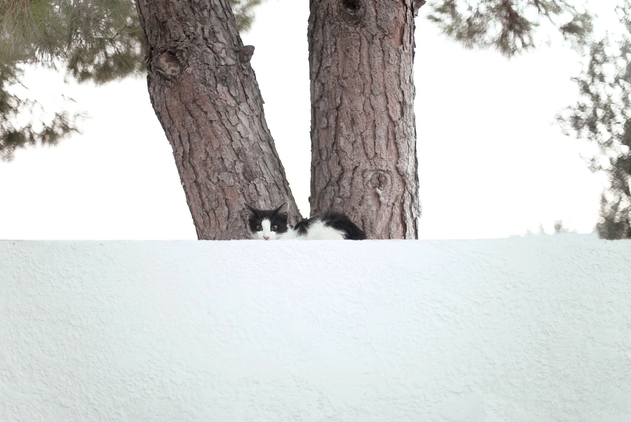 Monocabin in Rhodes, Greece