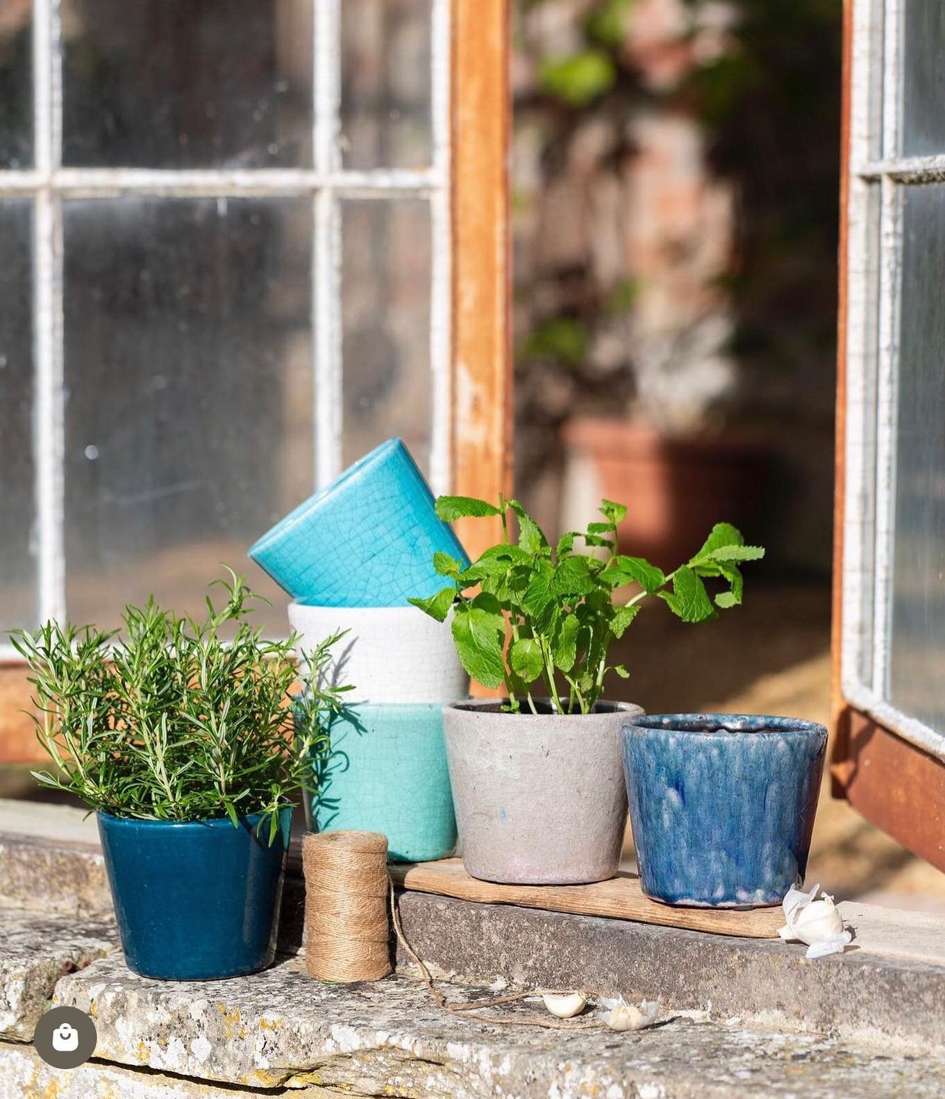 Happy Tuesday all 😊 What beautiful weather we are having eventually. We can now say it is well and truly now potting season!! 

For the perfect display our Old Dutchstyle Pots are just perfect...they come in various colours, patterns and sizes and a