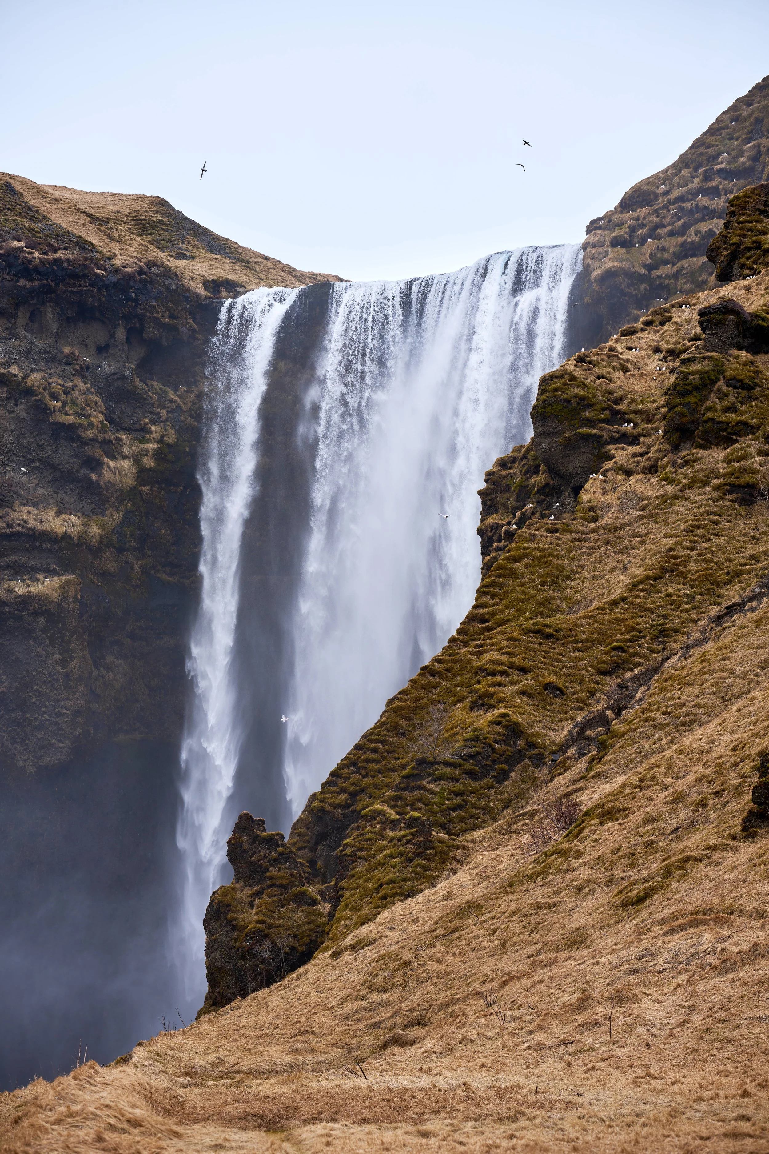 Iceland-Online-5.jpg