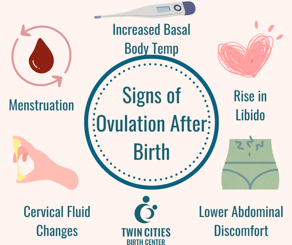 What You Need to Know About Your Ovulation Cycle [Infographic
