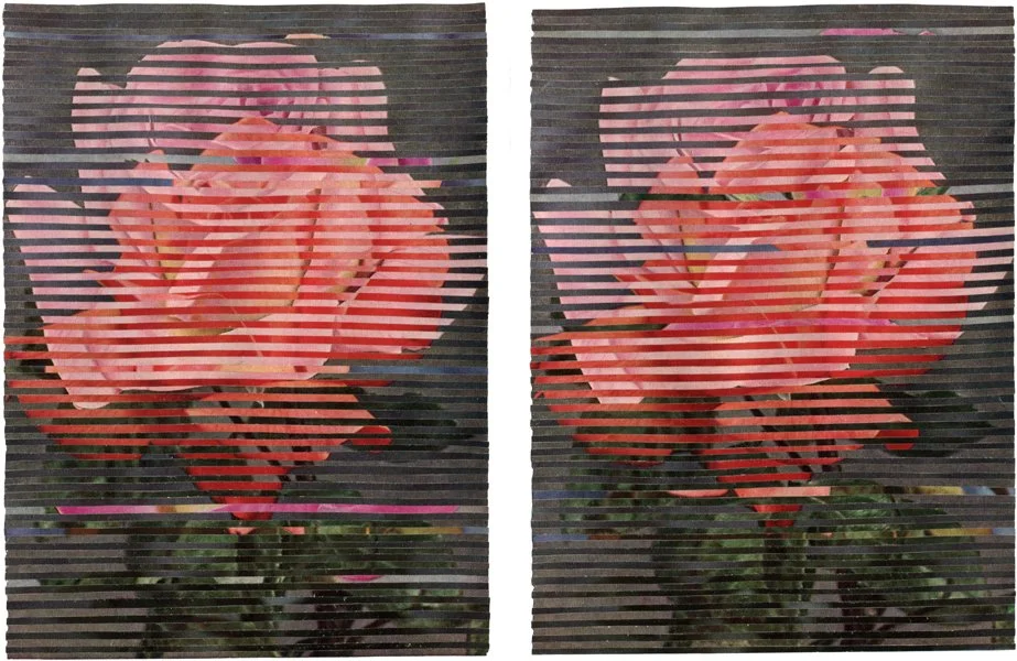 A hand-cut collage of two nearly identical rose images with horizontal pink and dark striped overlays, creating a glitch or digital distortion effect.