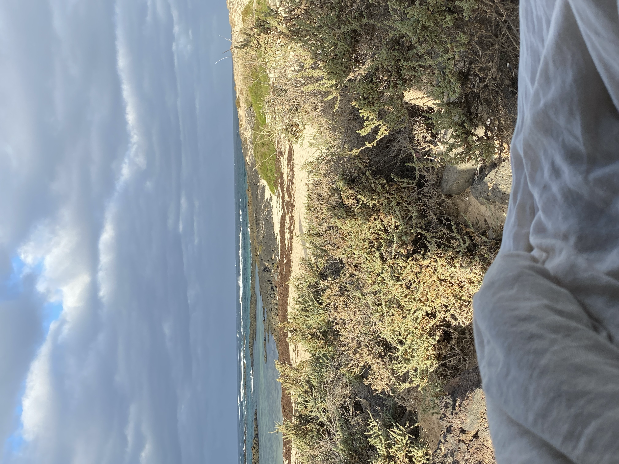 Calas del Faro