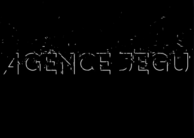Agence Jegu