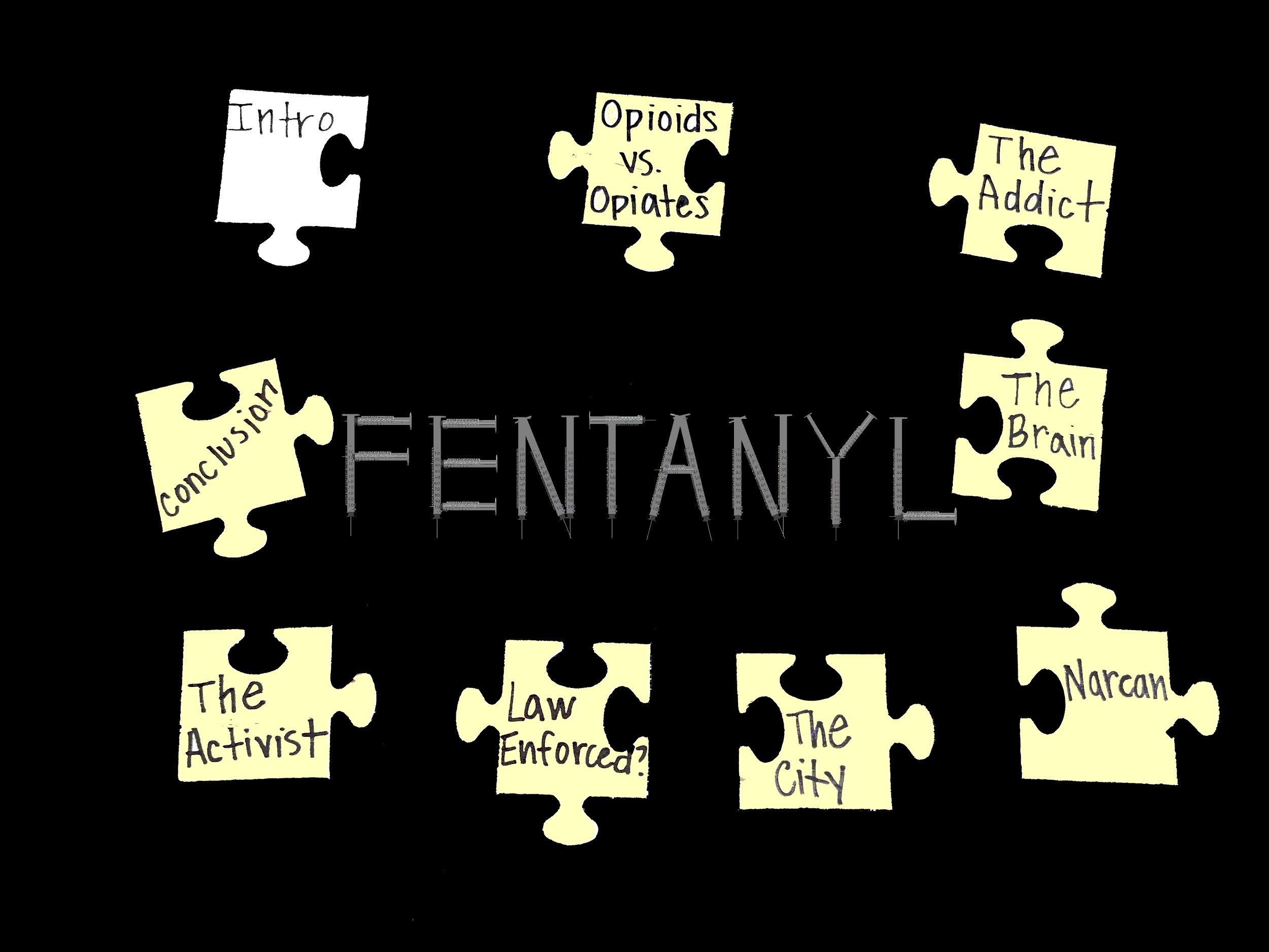 The Fentanyl Project
