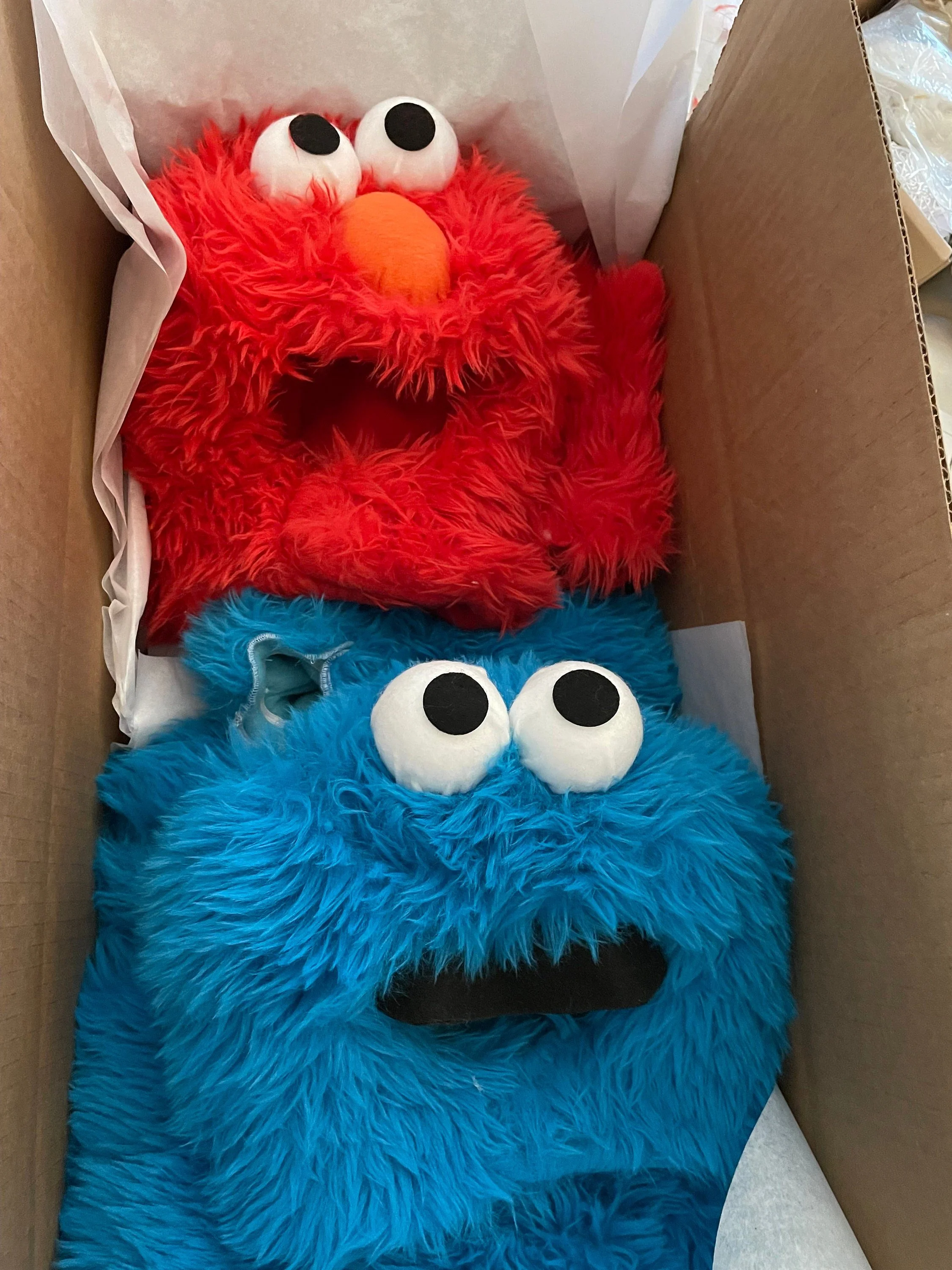 https://i.etsystatic.com/13407422/r/il/428116/4273082067/il_fullxfull.4273082067_748u.jpg