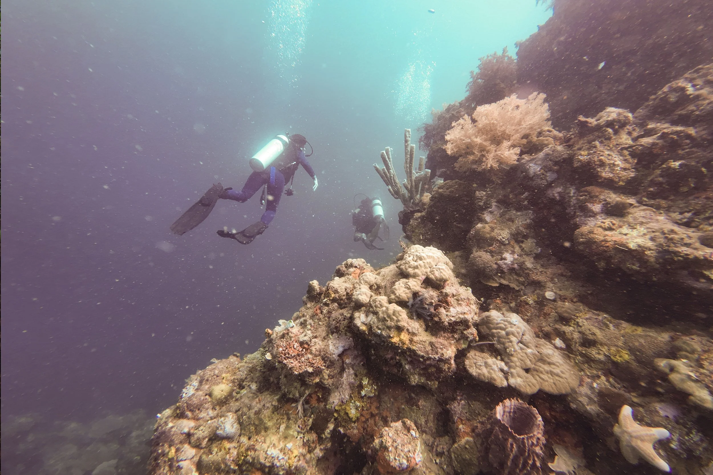 Katerina’s Piece #4: Greetings from a sea village in Indonesia, where Indigenous fishing gets help from mangroves