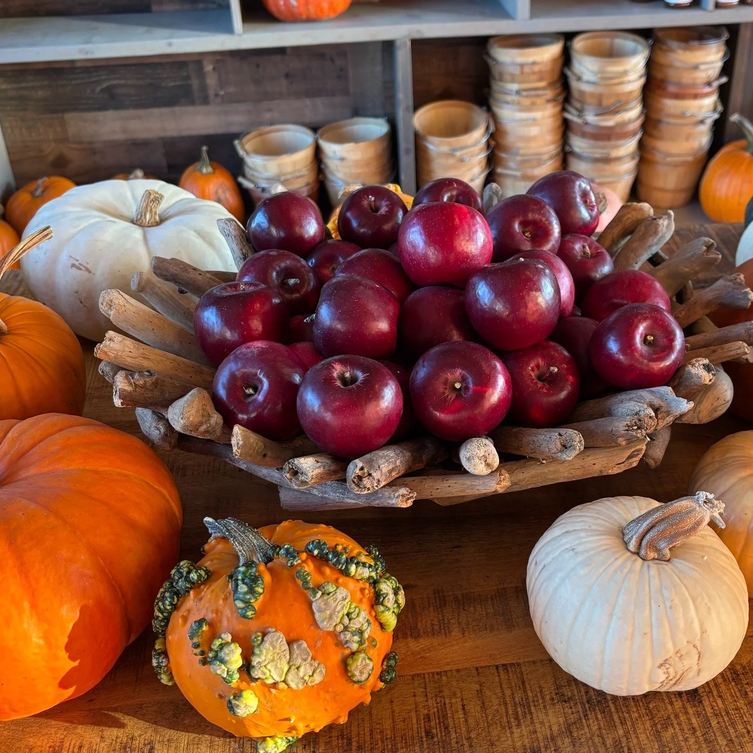 * * FINAL WEEKEND OF THE YEAR * *

Adam's Apple Orchard and Country Store will close for the season Sunday, November 2, 2025.  We have pre-picked JONATHAN, GOLDEN SUPREME, JONAGOLD and CAMEO apples still available.  A great selection of edible Holida