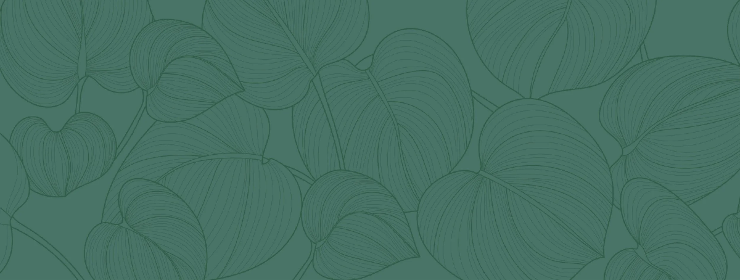 Vida Wellness PDX