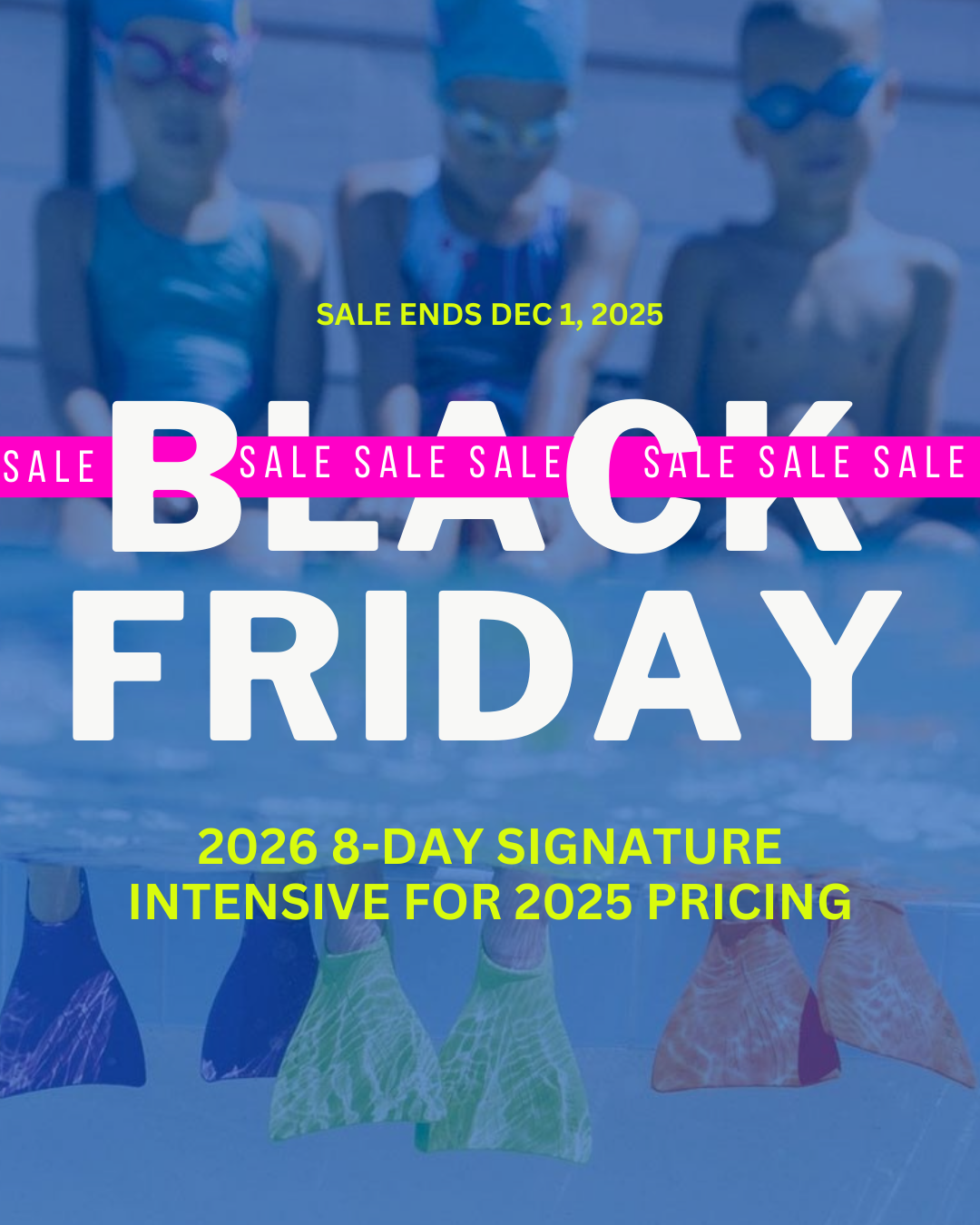 Black Friday Sale