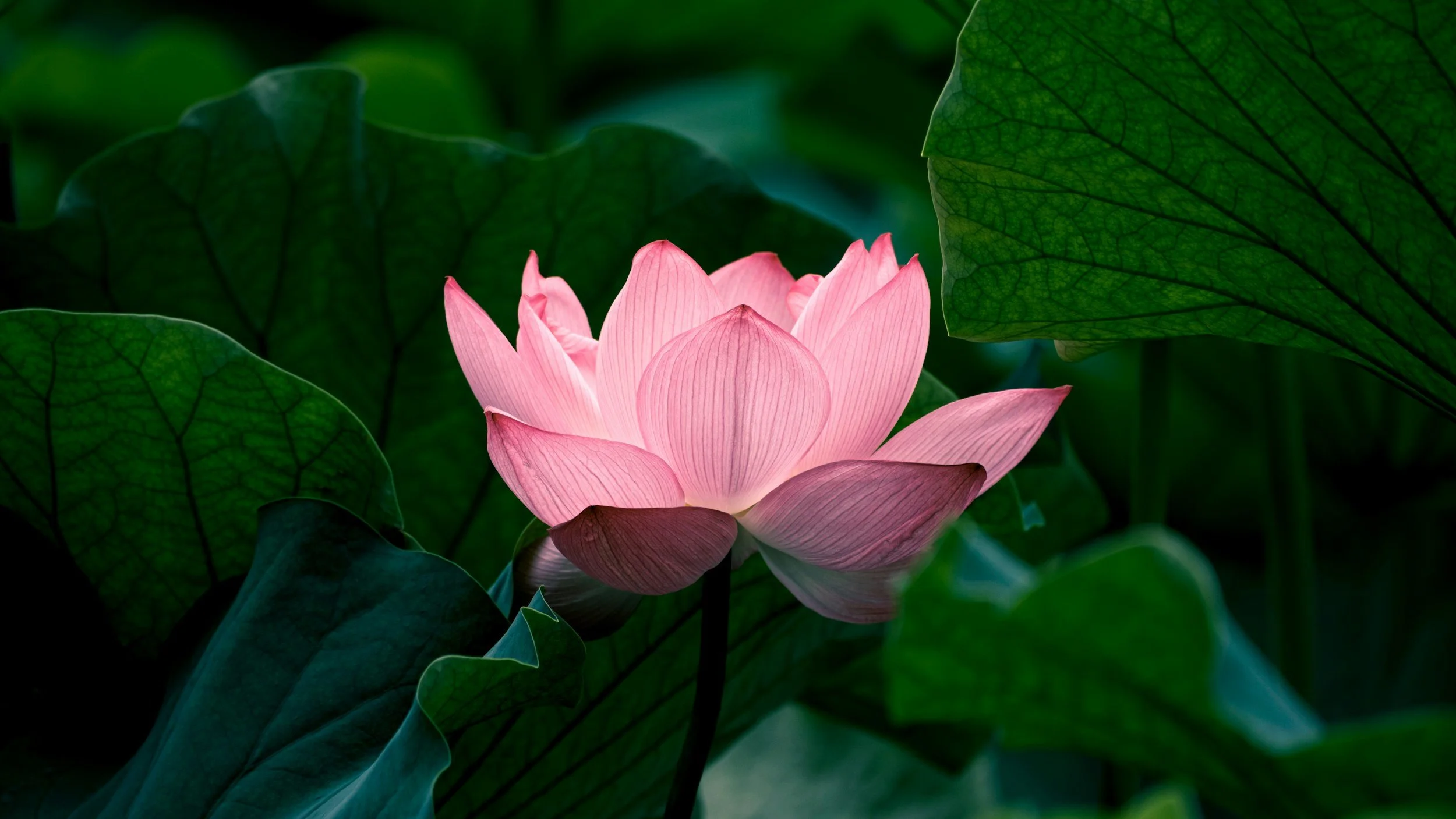 Women’s Clay &amp; Music Retreat | Rhinebeck, NY 