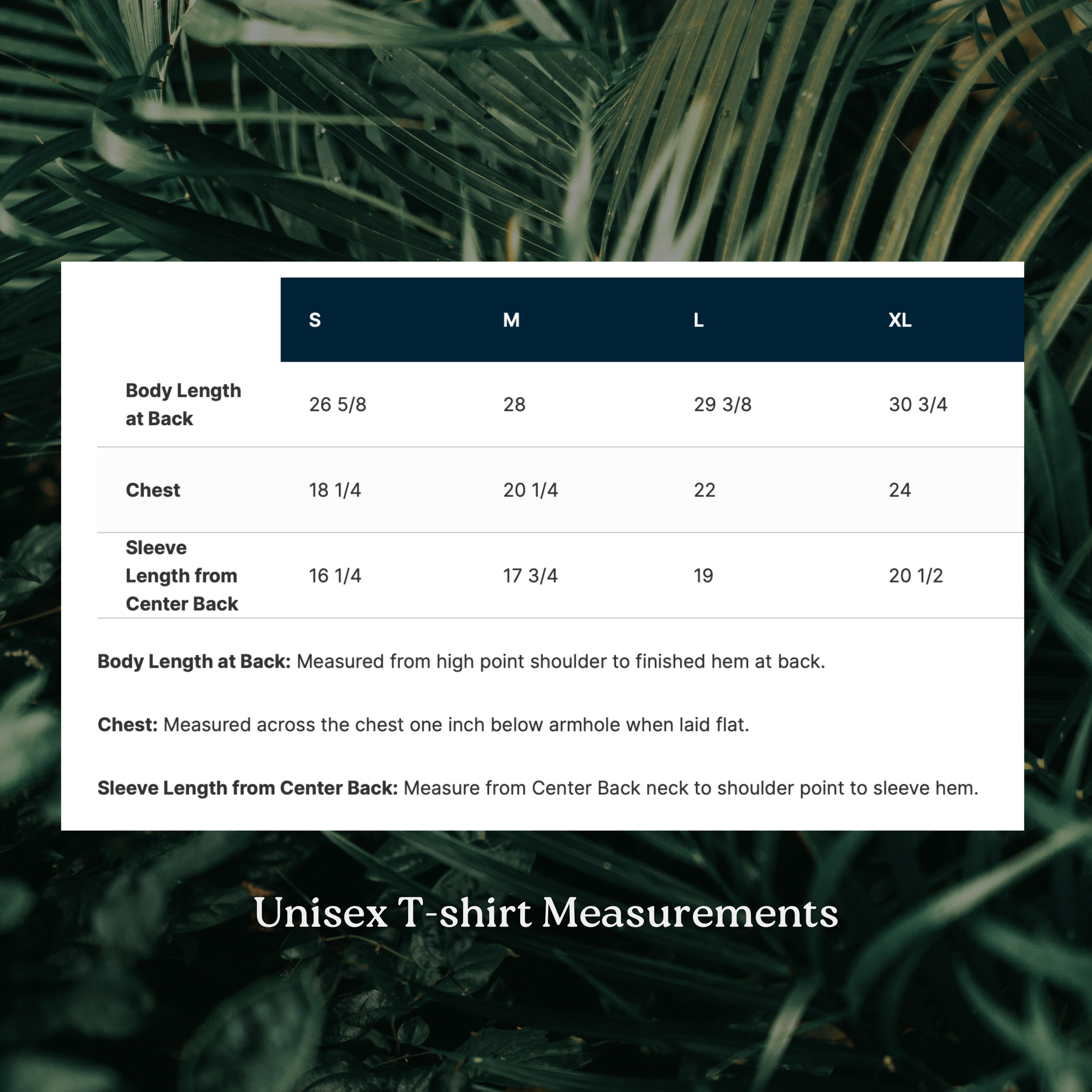 northern  (3000 x 3000 px)-2.png