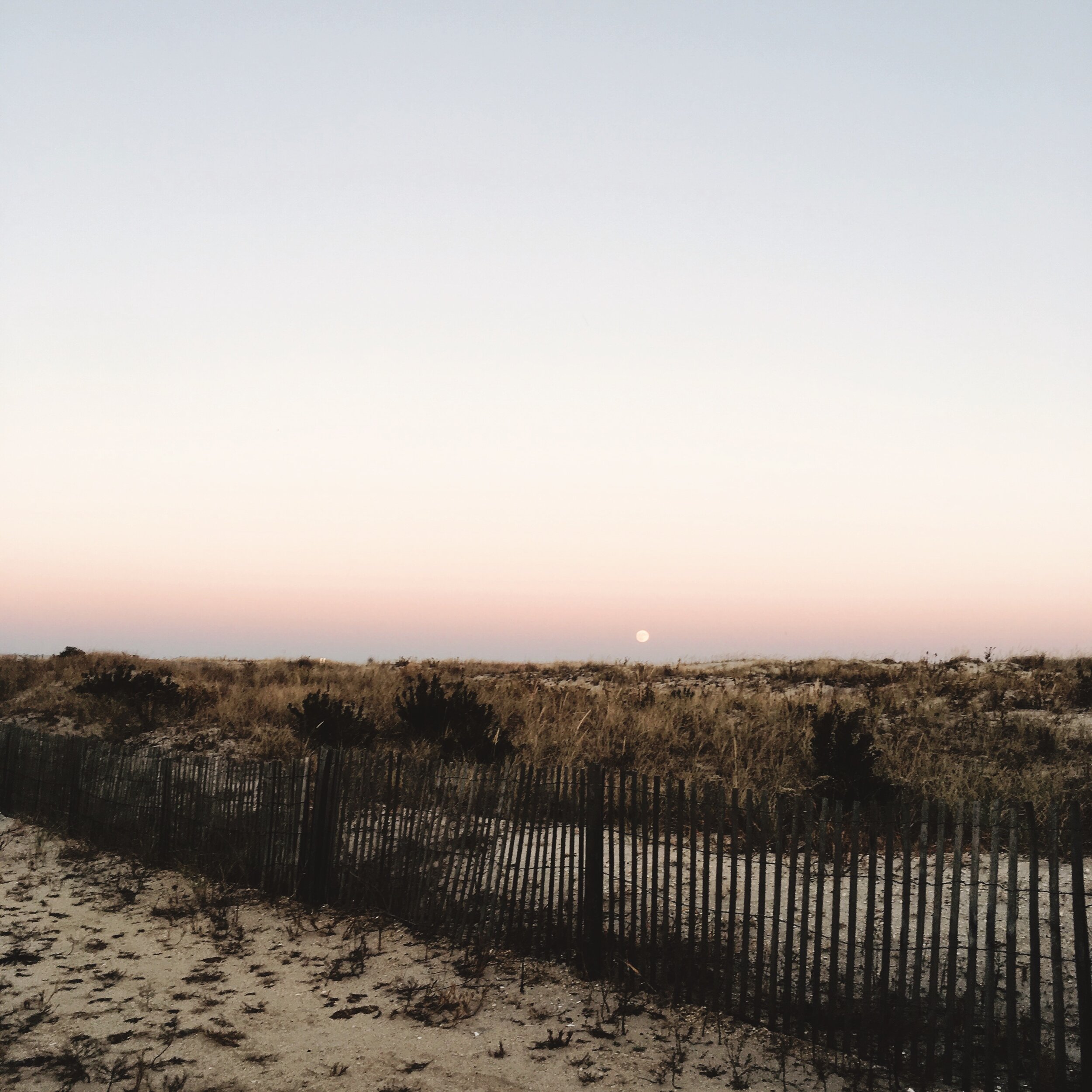 
Our Infertility Journey: Treatment Timeline & Update  