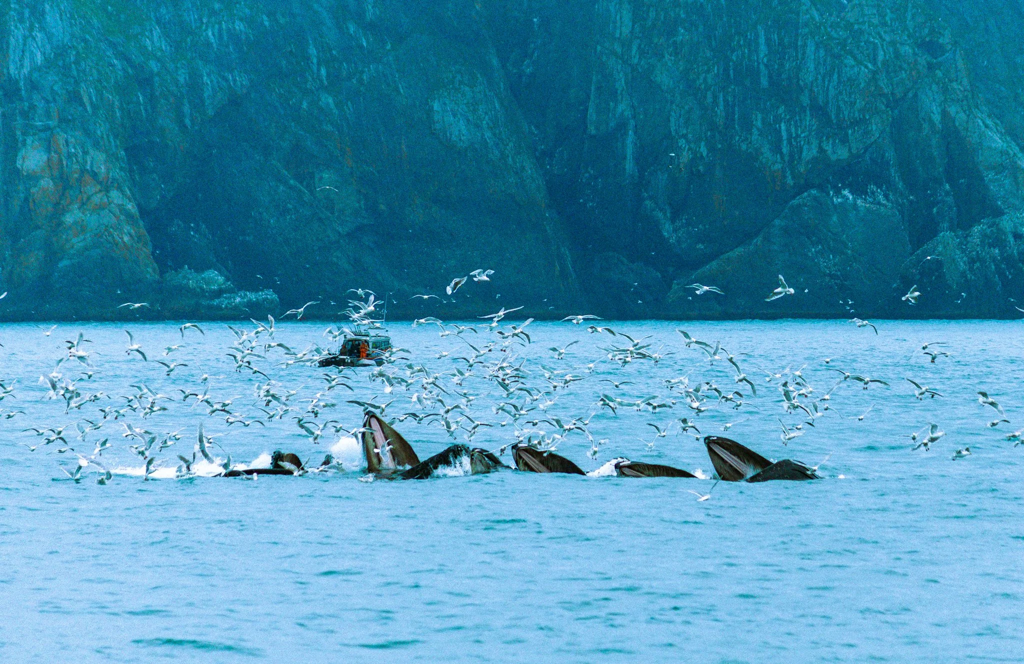 alaska-131.jpg