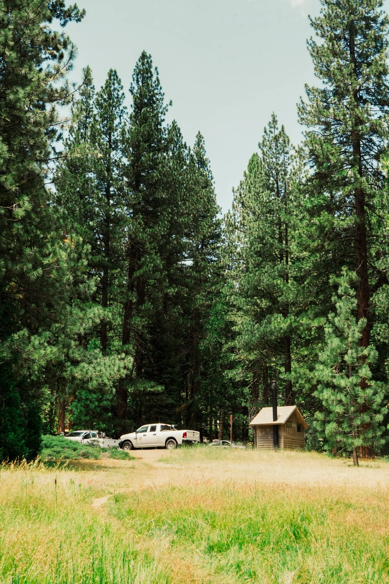 sequoia-171.jpg