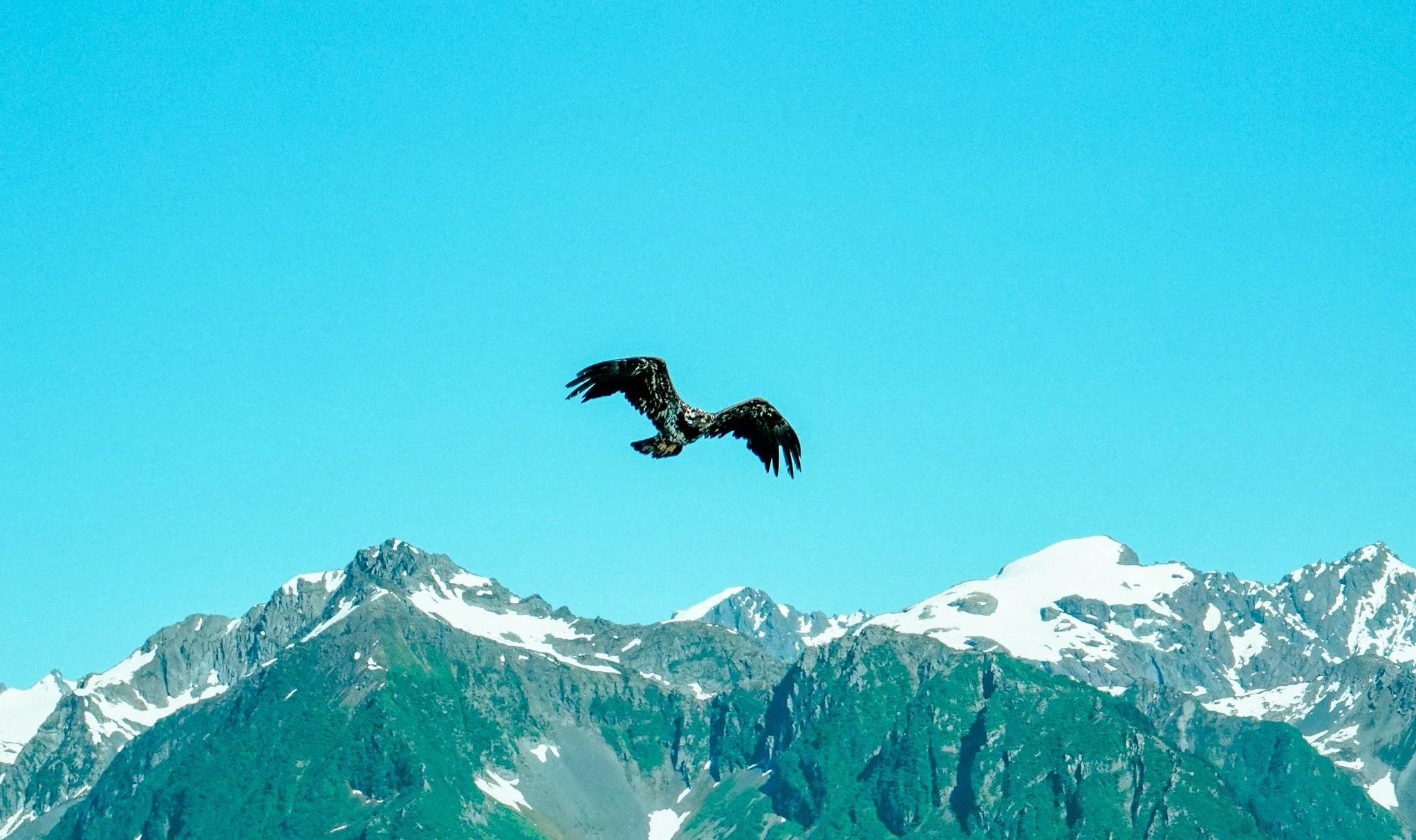 alaska-082.jpg