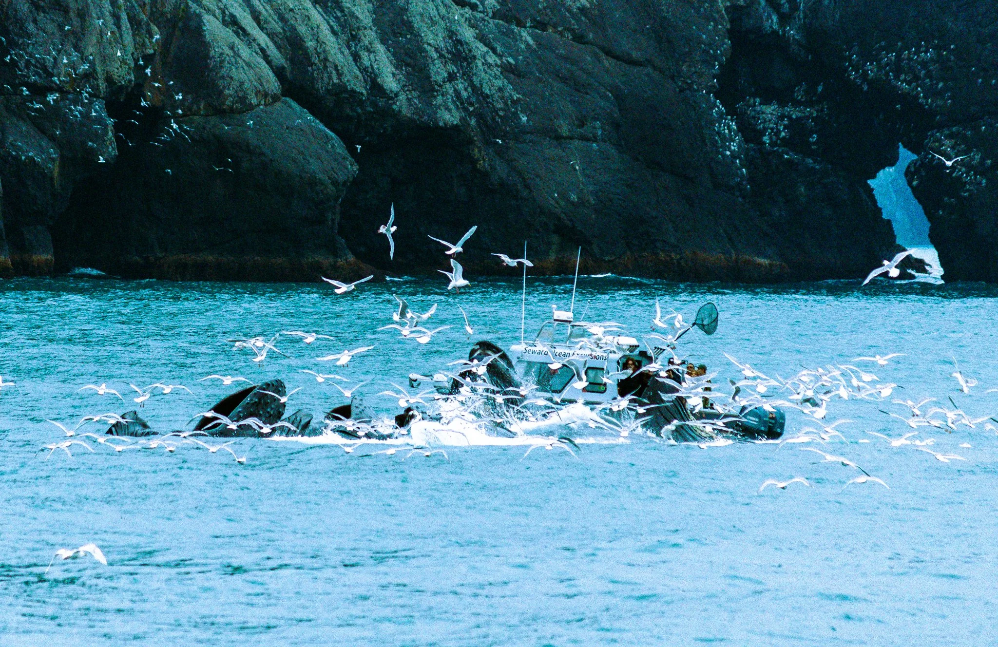 alaska-137.jpg