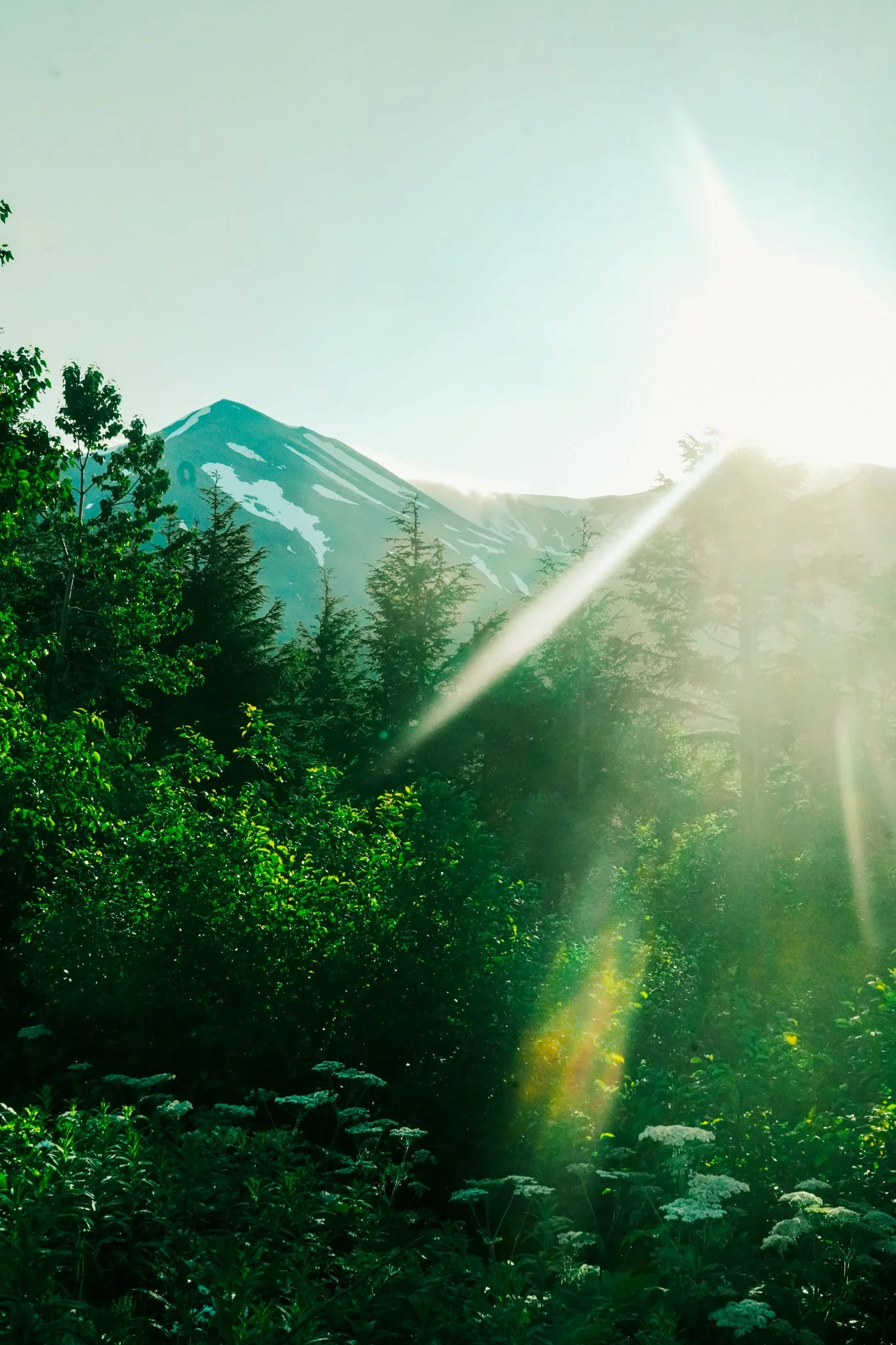 alaska-008.jpg