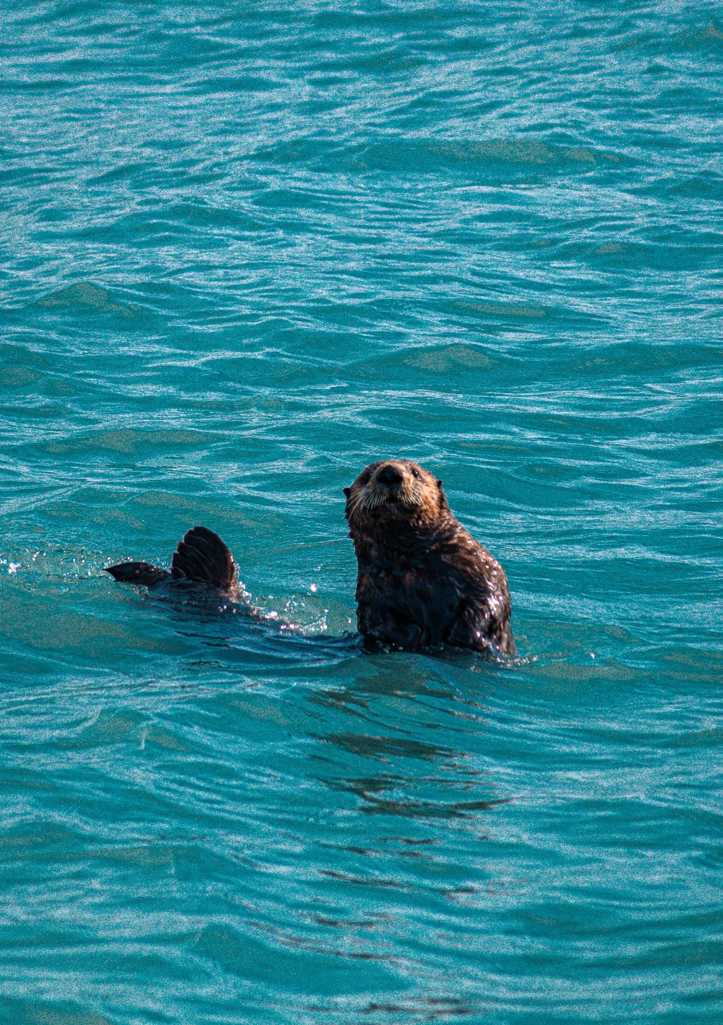 alaska-093.jpg