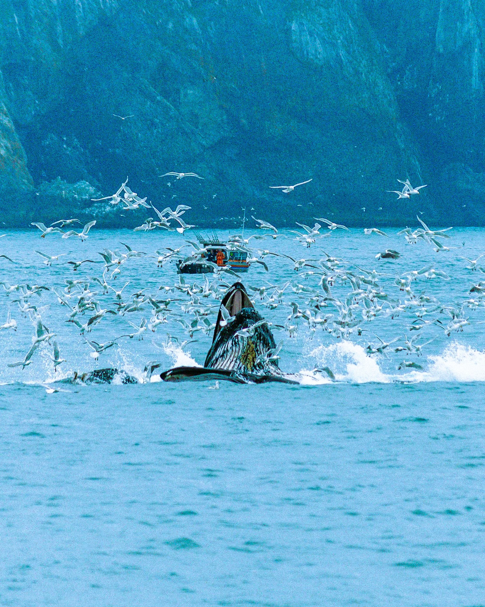 alaska-134.jpg