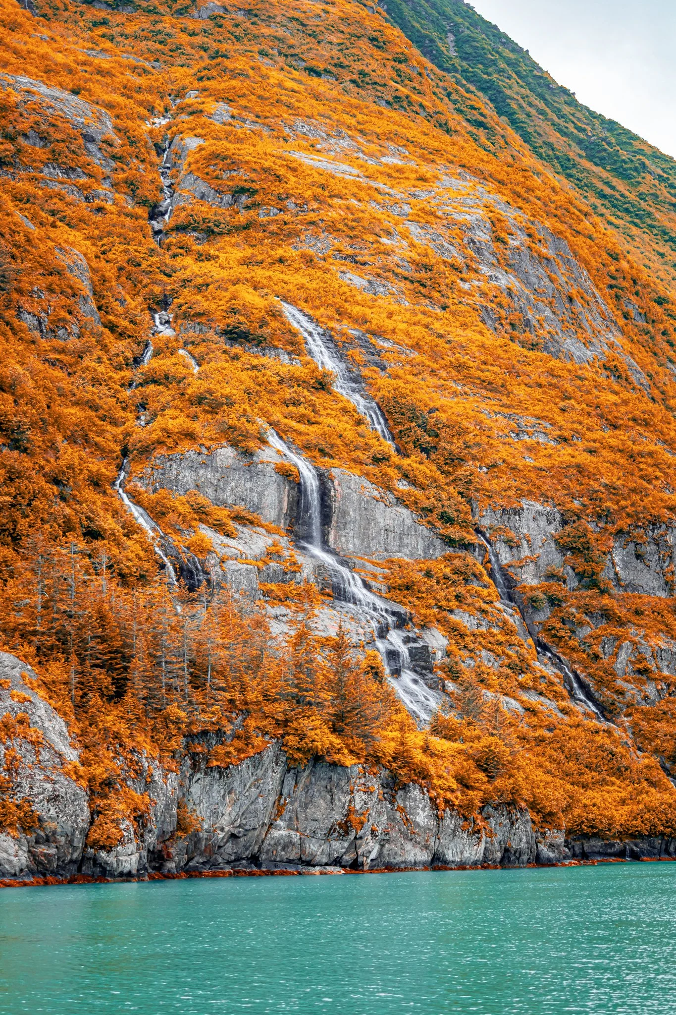 alaska-110.jpg