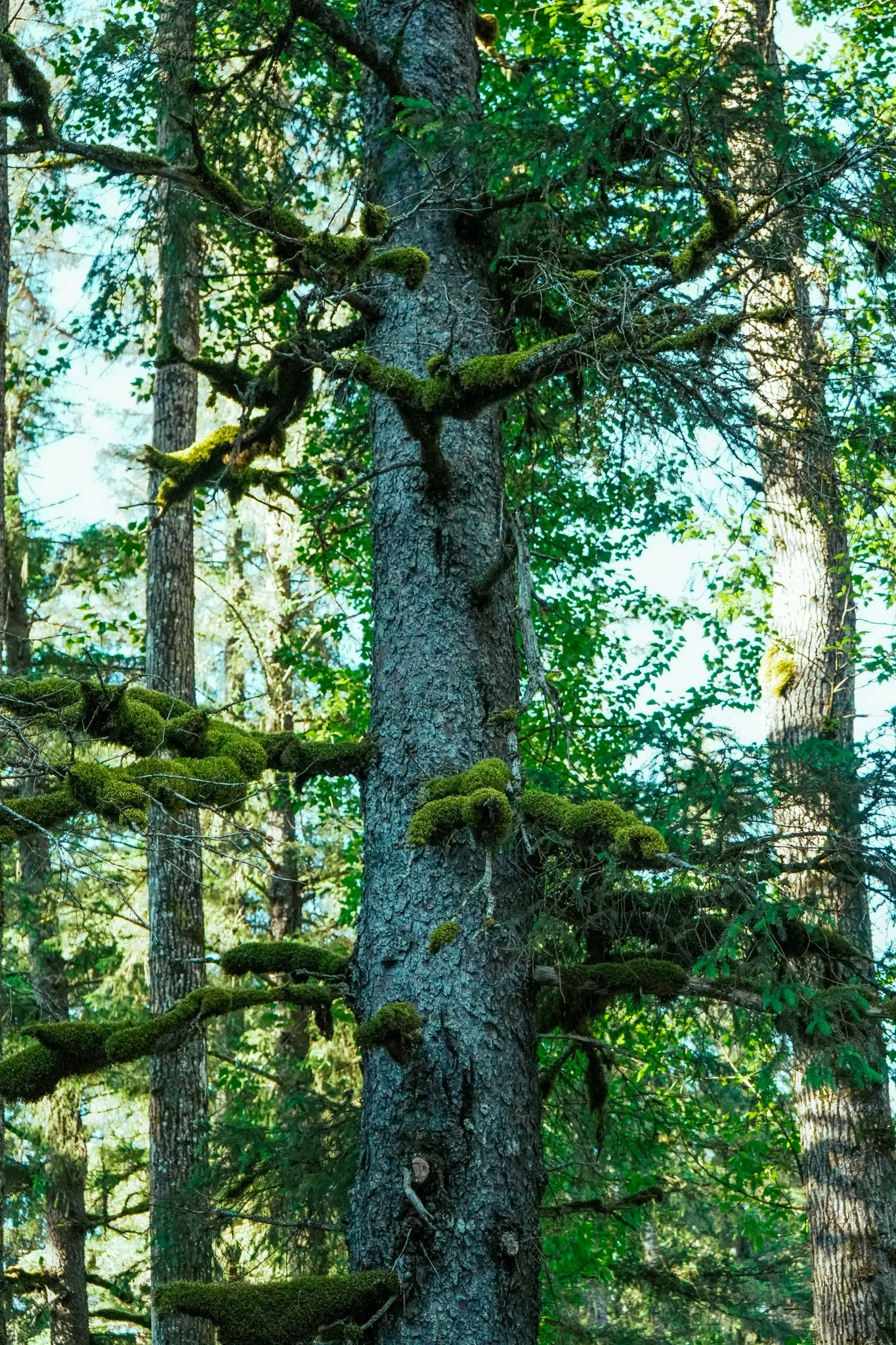 alaska-032.jpg