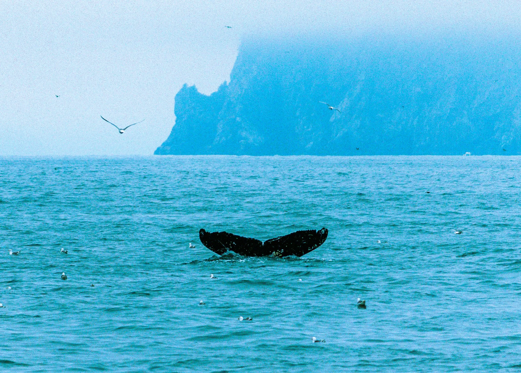 alaska-124.jpg