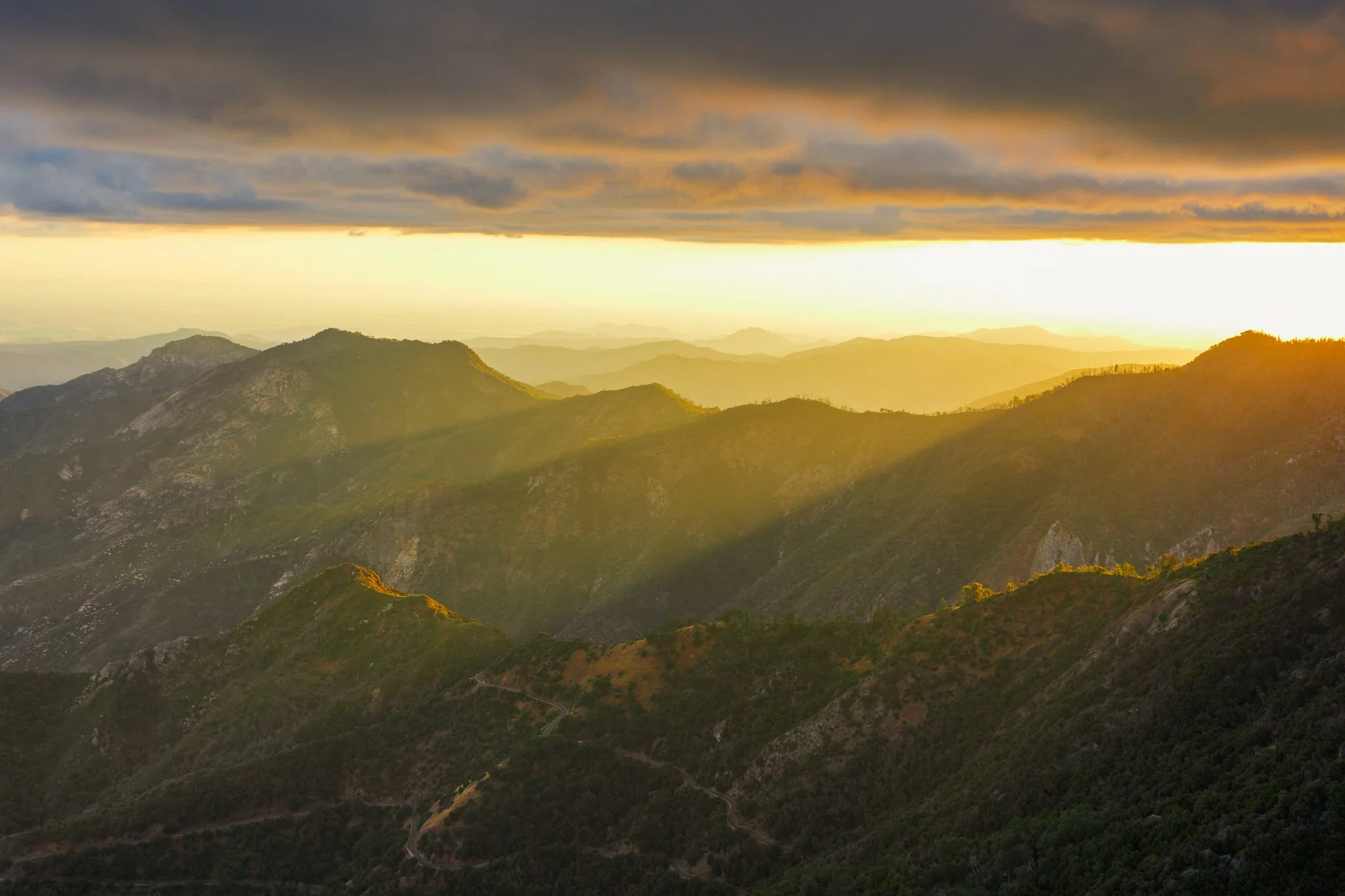 sequoia-145.jpg