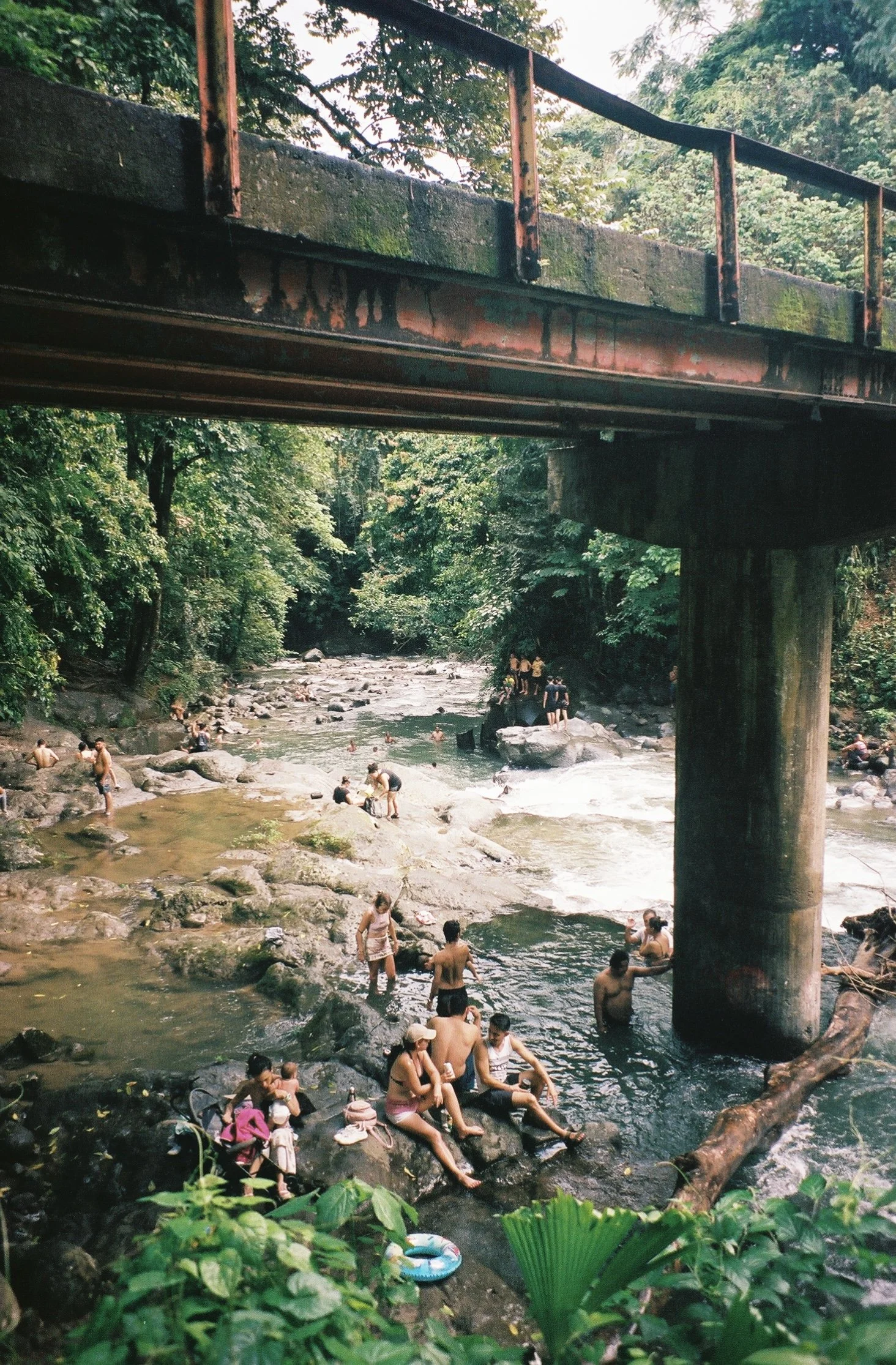 IMG_7329.jpeg