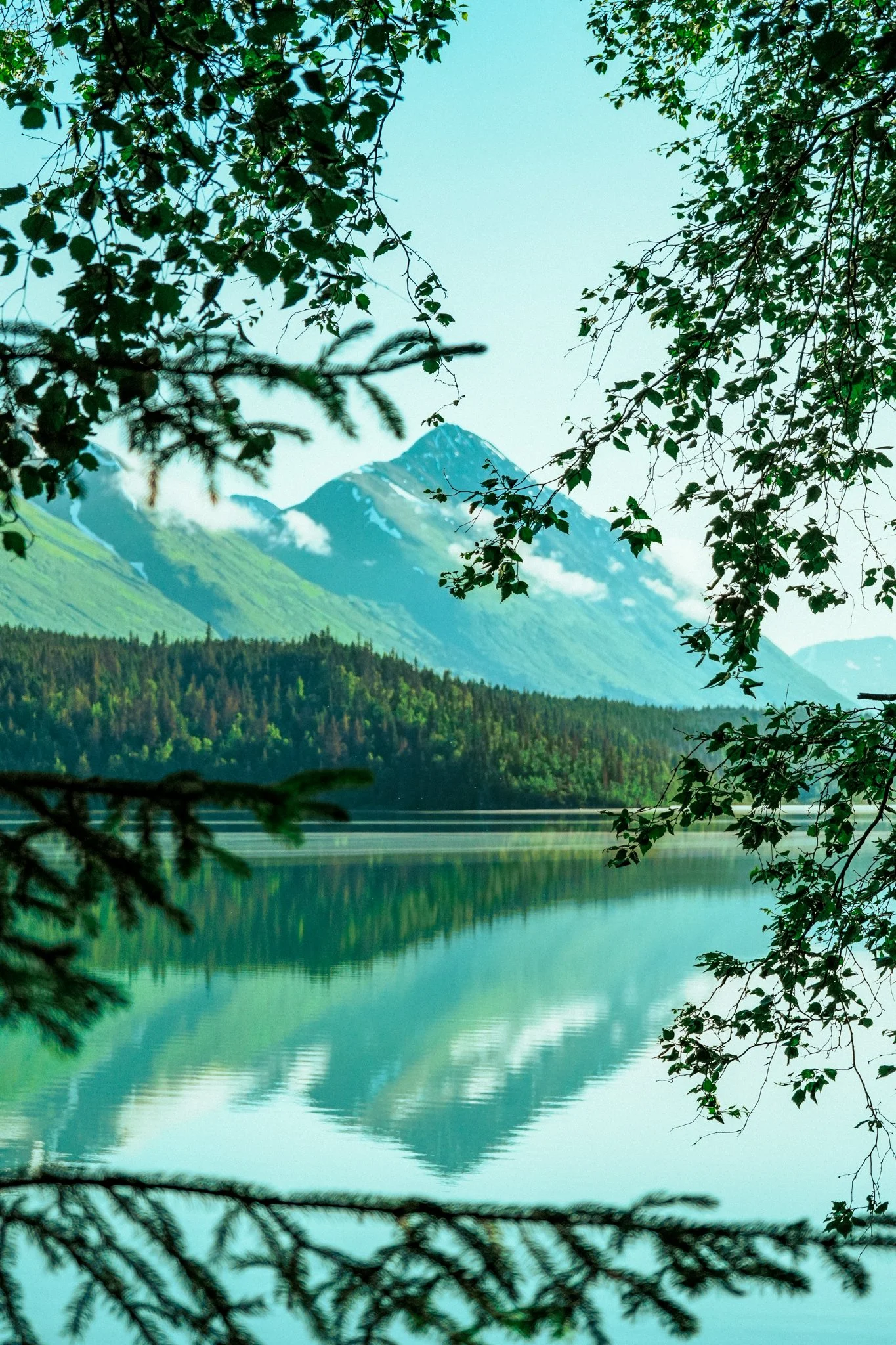 alaska-028.jpg