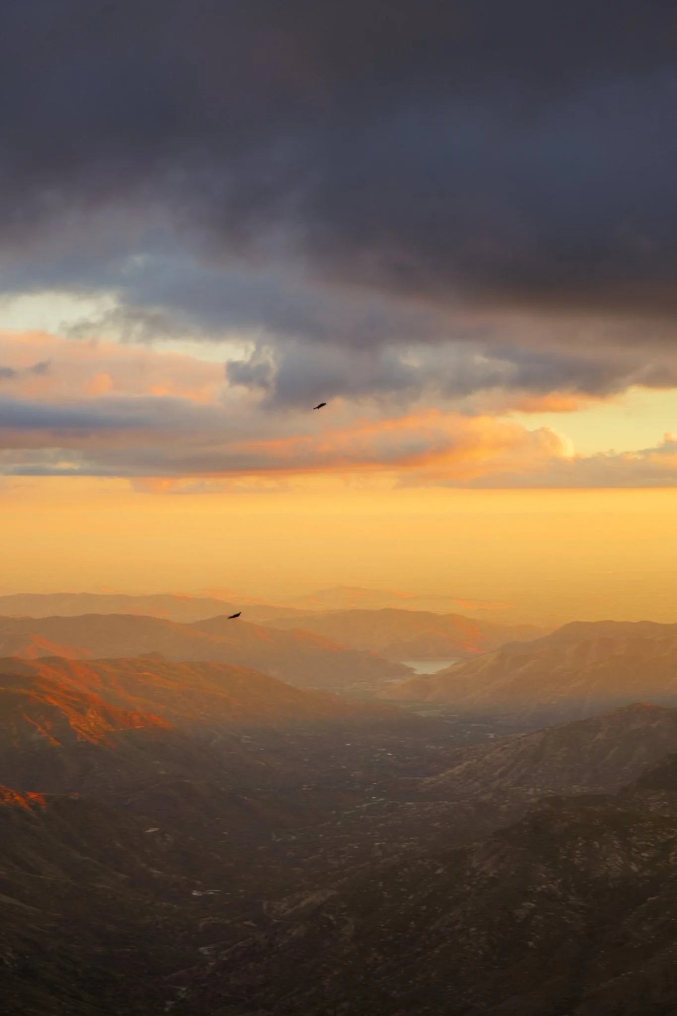 sequoia-148.jpg