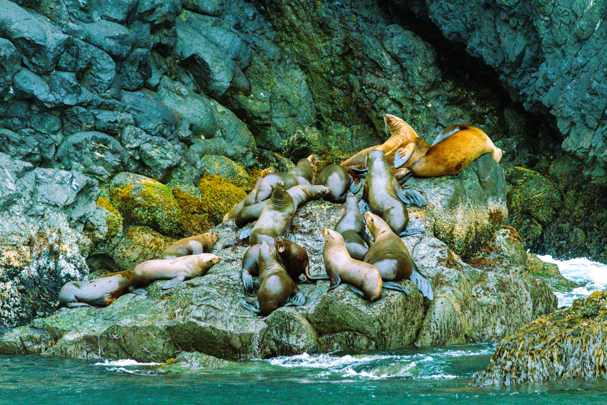 alaska-141.jpg