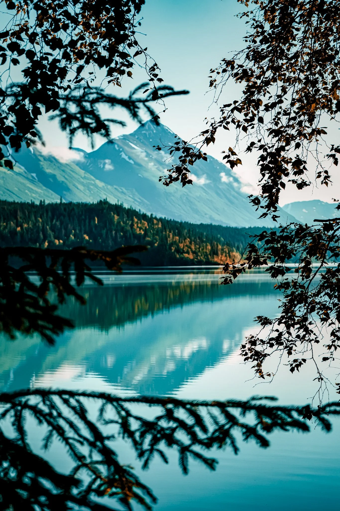 alaska-026.jpg