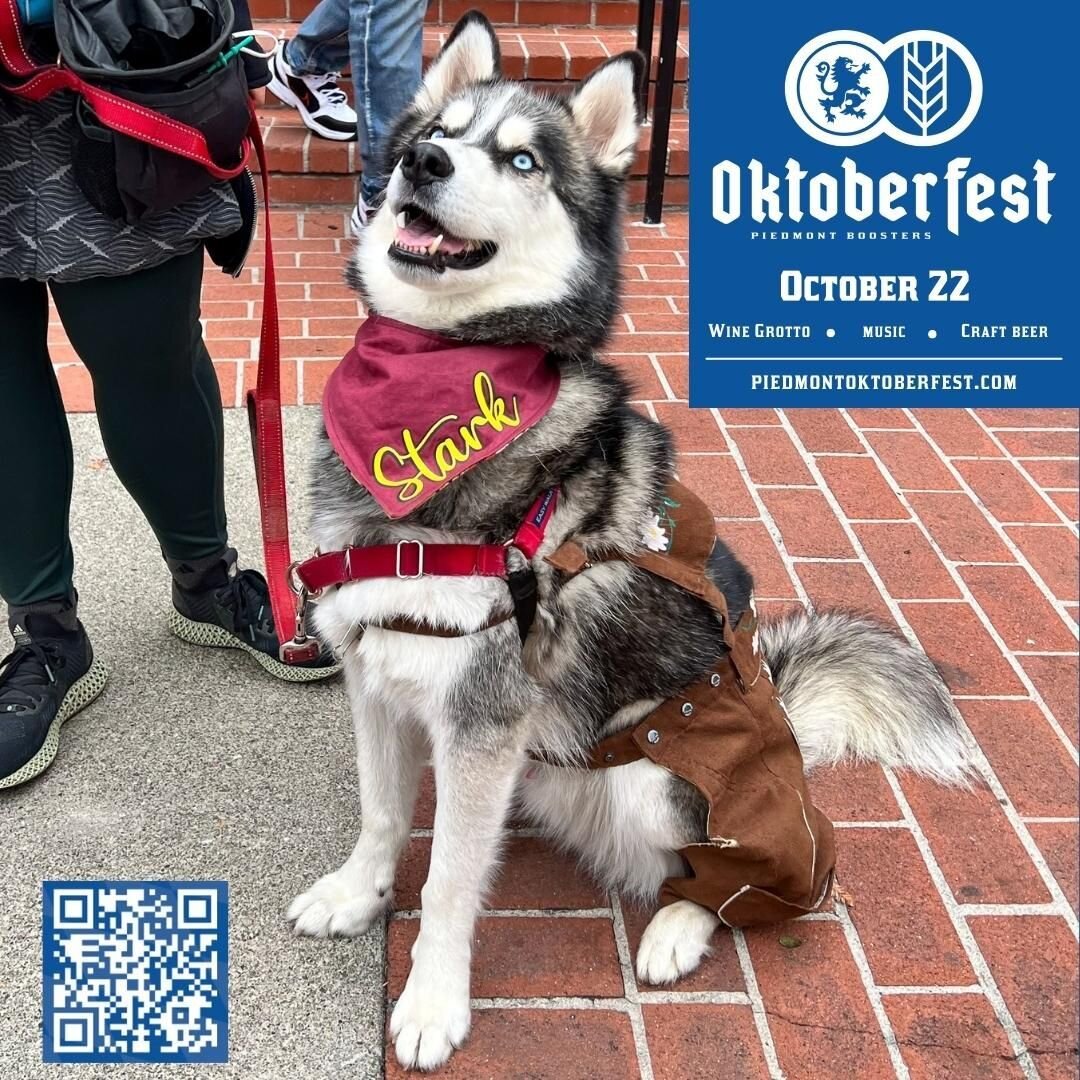 Breakout your best lederhosen and join Stark in the Park on Sunday 10/22 for the 3rd Annual Piedmont Oktoberfest from 12-5 pm in Piedmont Park. 🍻🍷🥨🌭